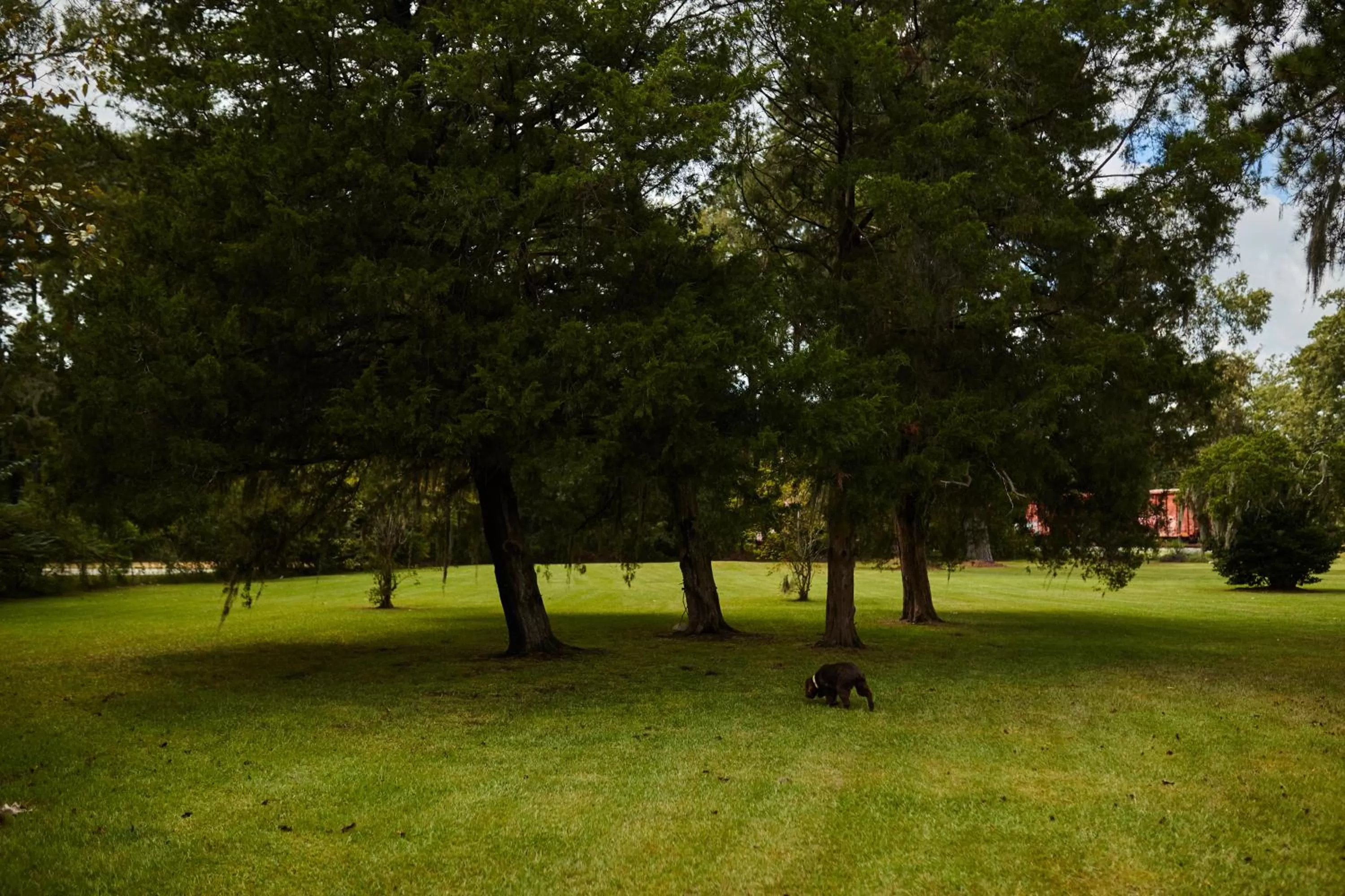 Children play ground in Carole Motel