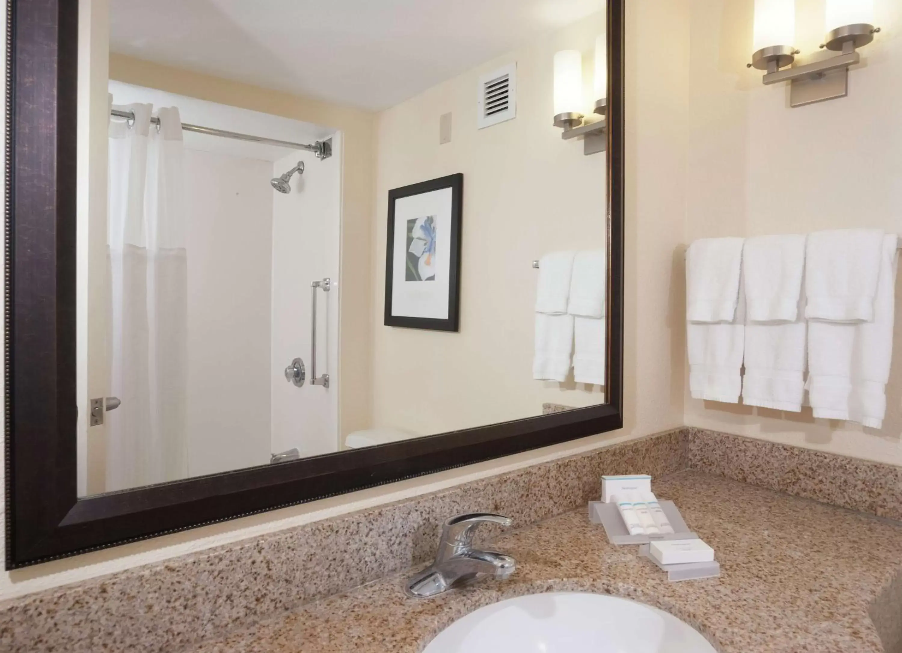 Bathroom in Hilton Garden Inn Orlando Airport