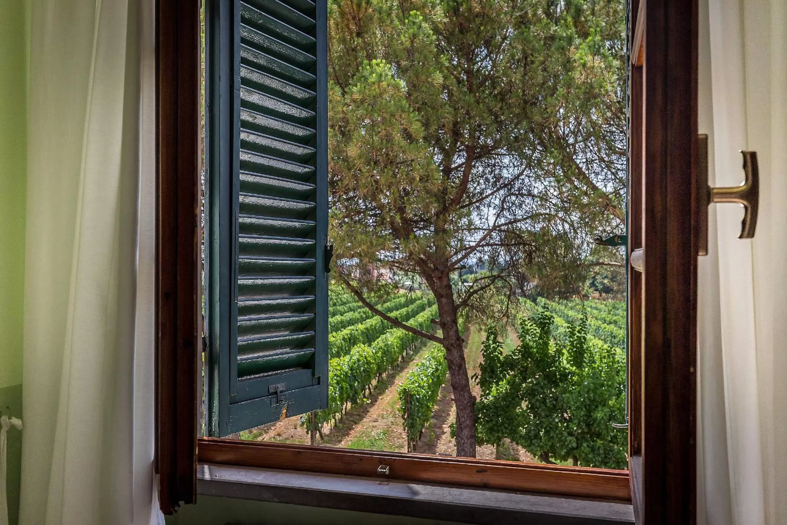 Landmark view, View in Locanda il Fornello