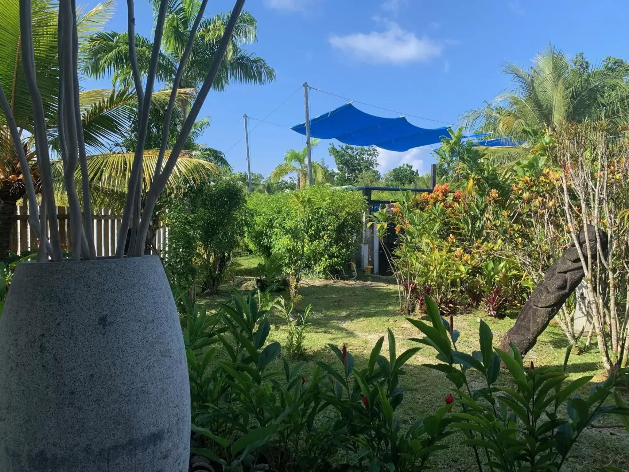 Swimming pool, Garden in Turtle Bay Lodge