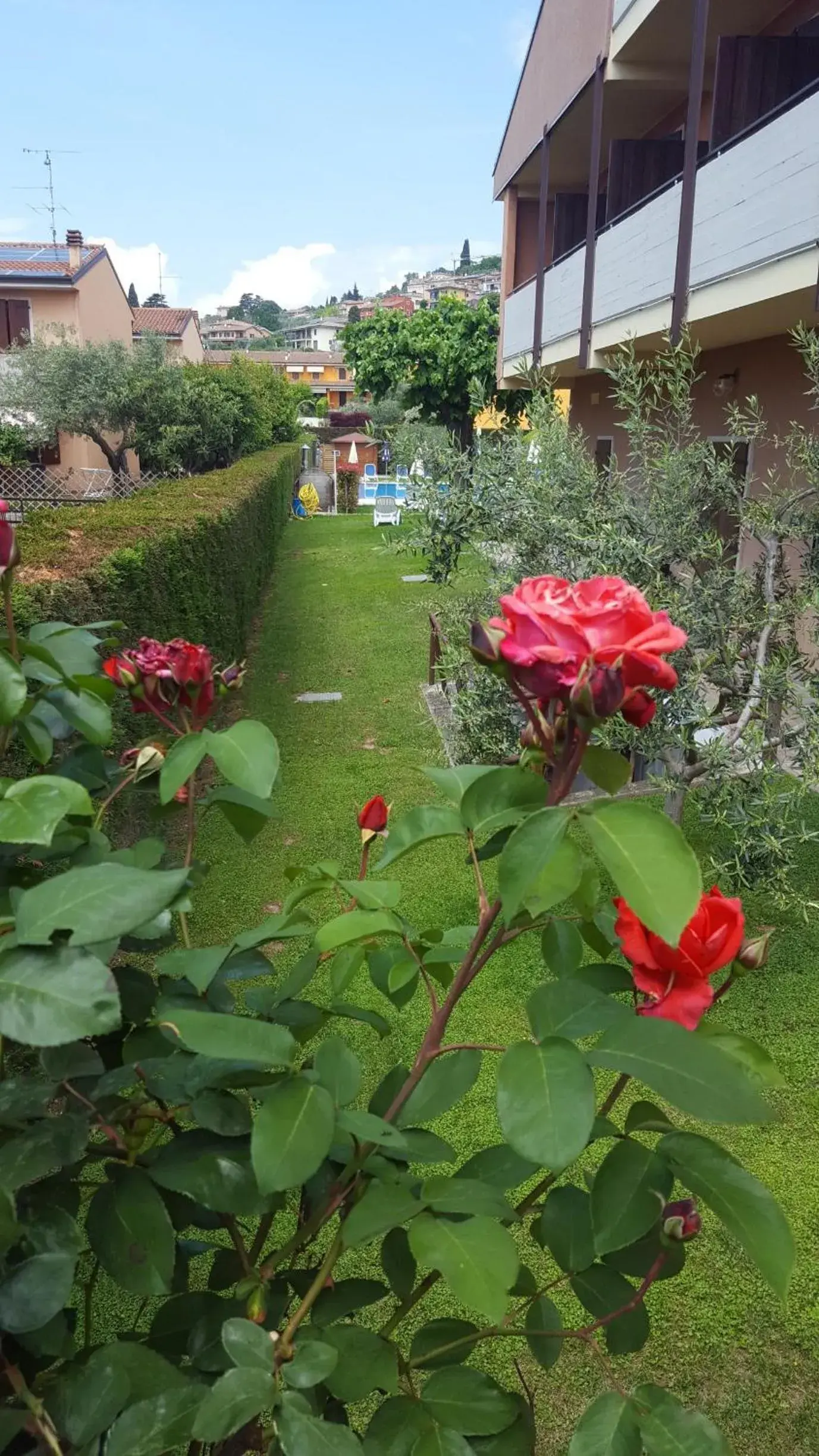 Garden in Hotel Andreis