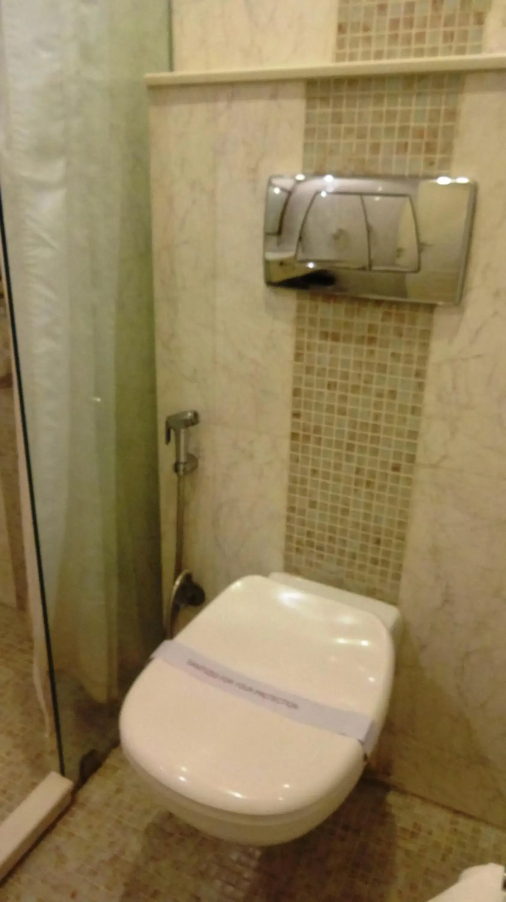 Toilet, Bathroom in Hotel Bright