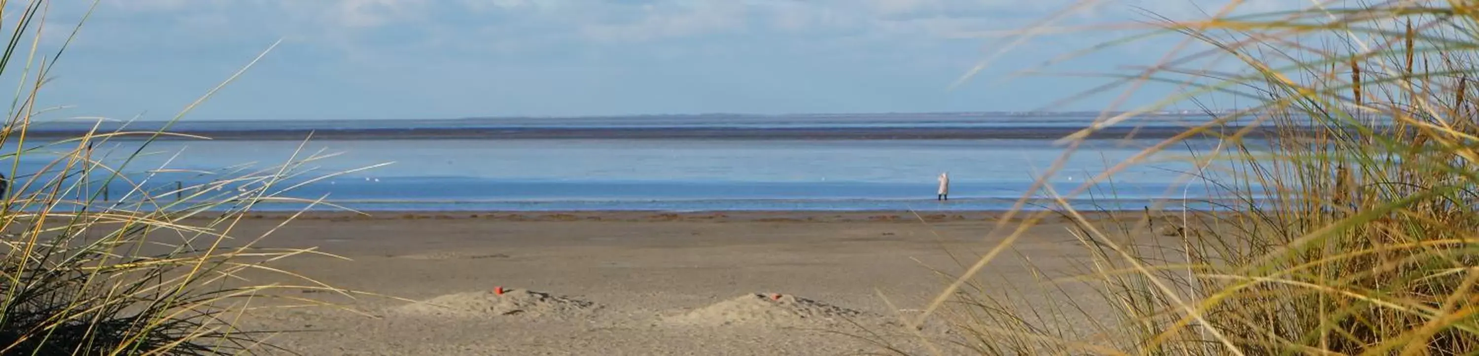 Beach in Hotel Aquarius