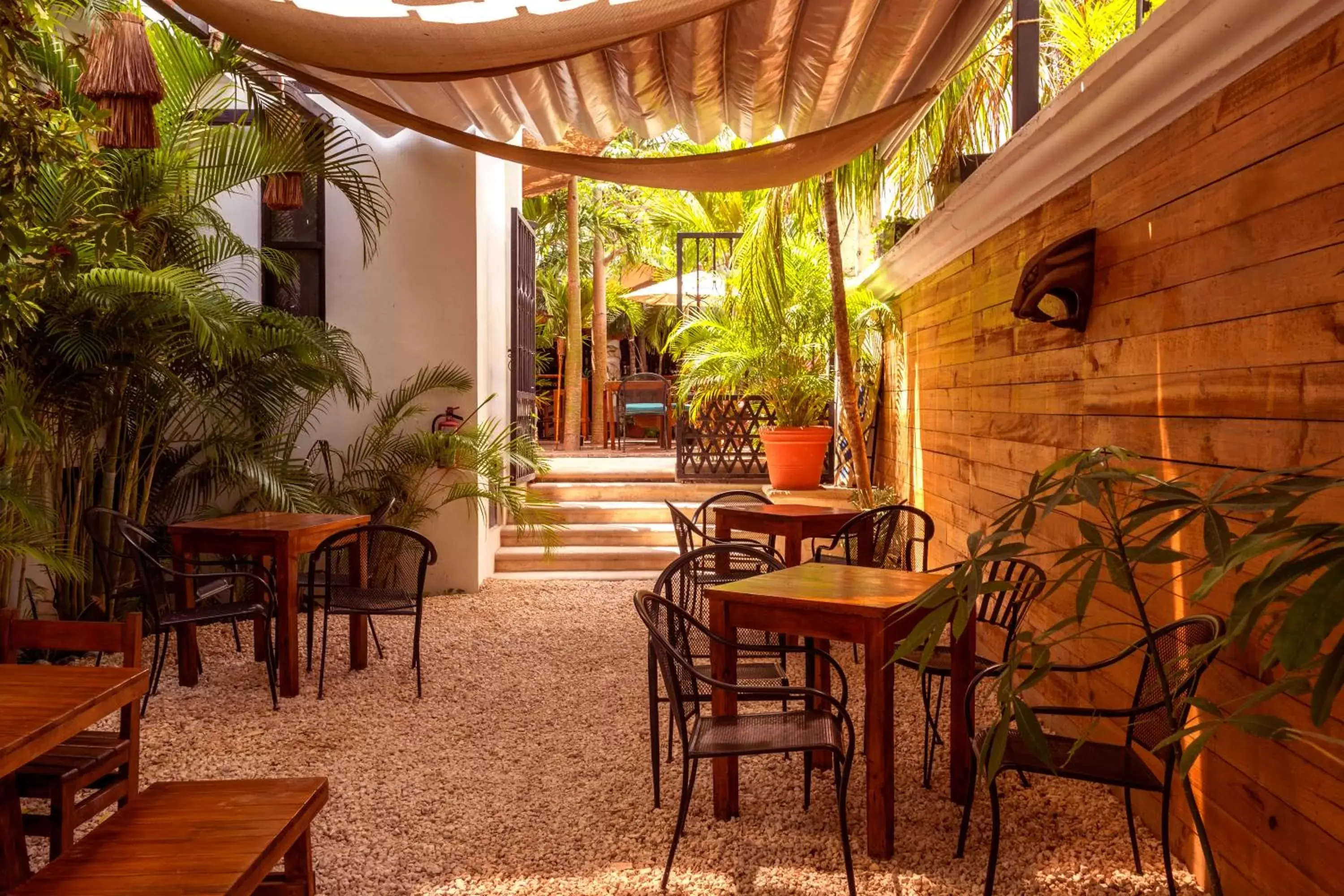 Restaurant/Places to Eat in Mezcal Hostel