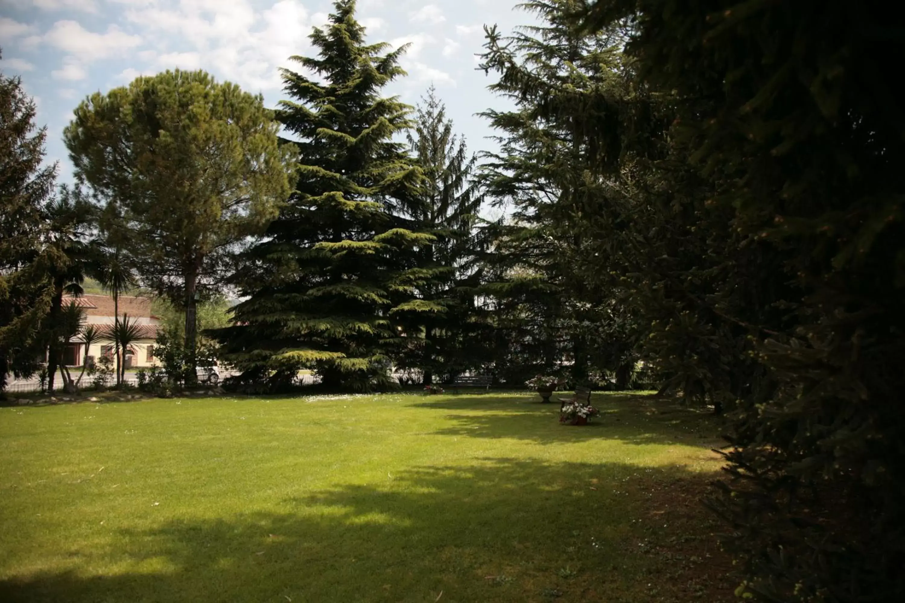 Garden in Hotel Bassetto