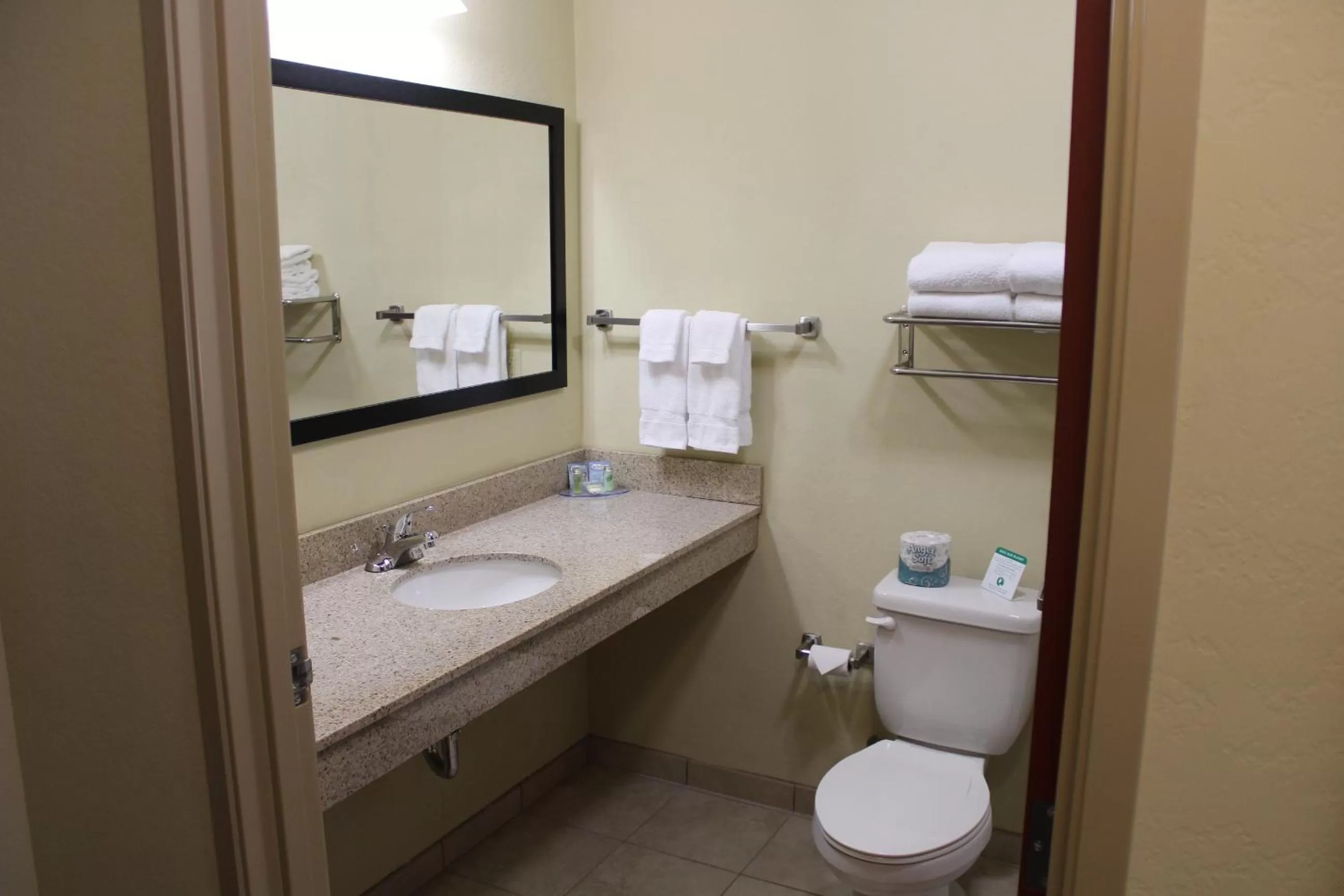 Toilet in Cobblestone Inn & Suites - Rugby