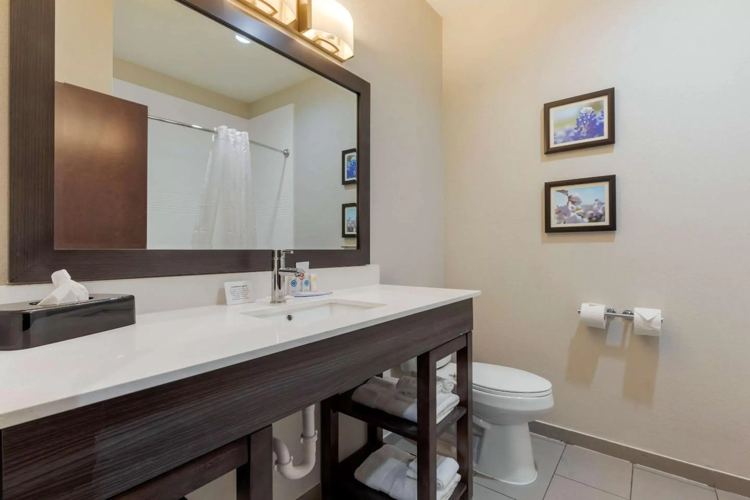 Photo of the whole room, Bathroom in Comfort Inn & Suites Balch Springs - SE Dallas