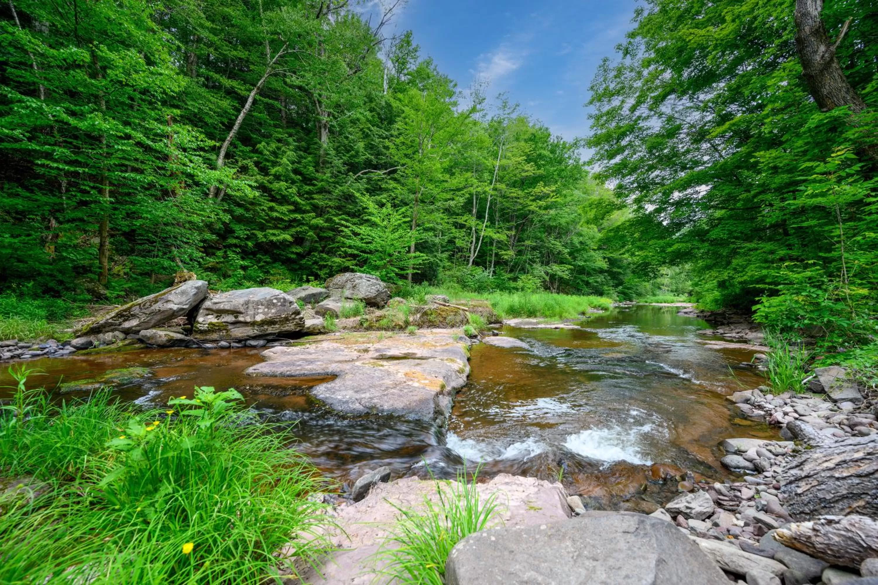 Natural Landscape in Mountain Treasure Bed and Breakfast