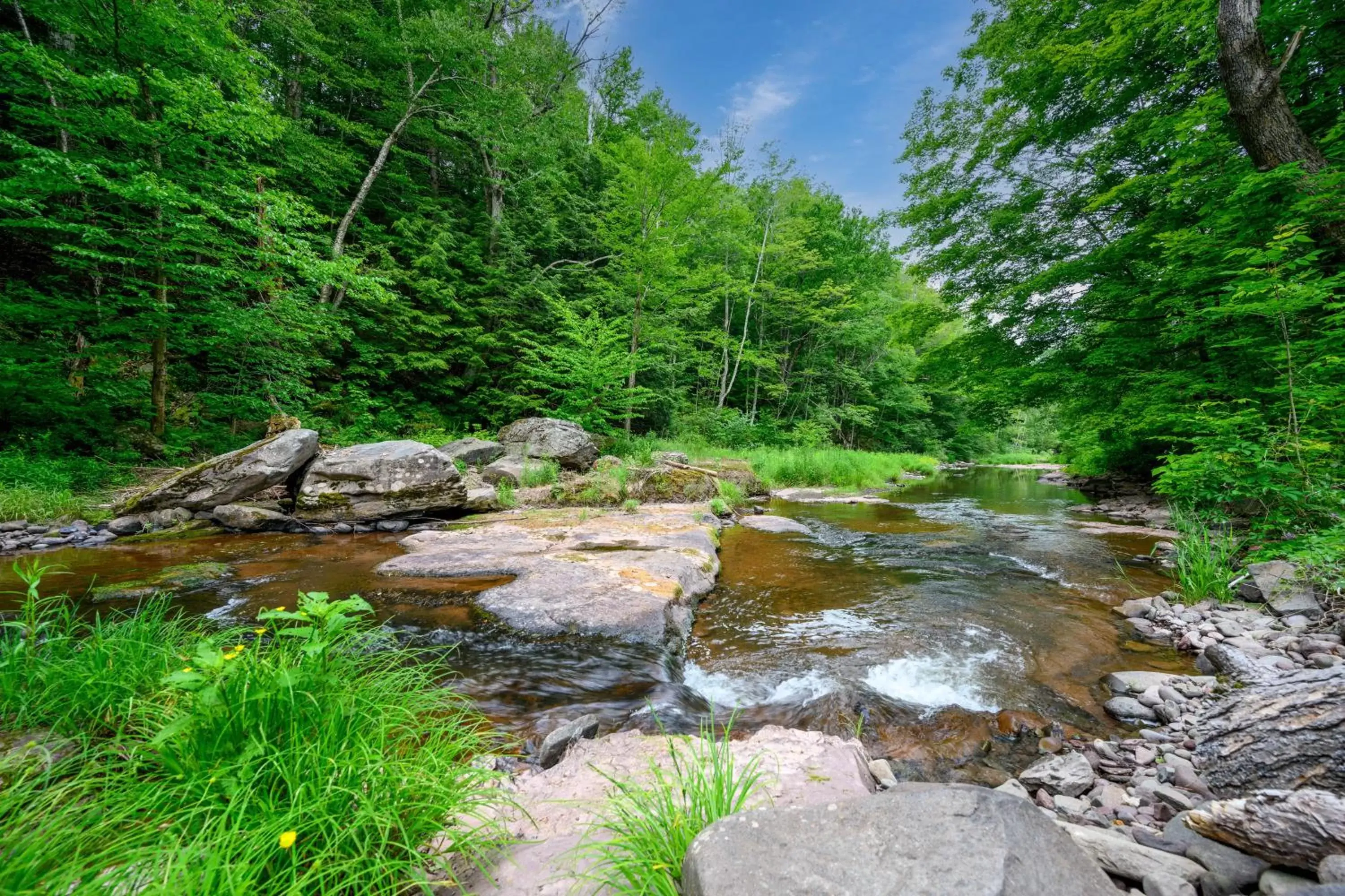 Natural Landscape in Mountain Treasure Bed and Breakfast