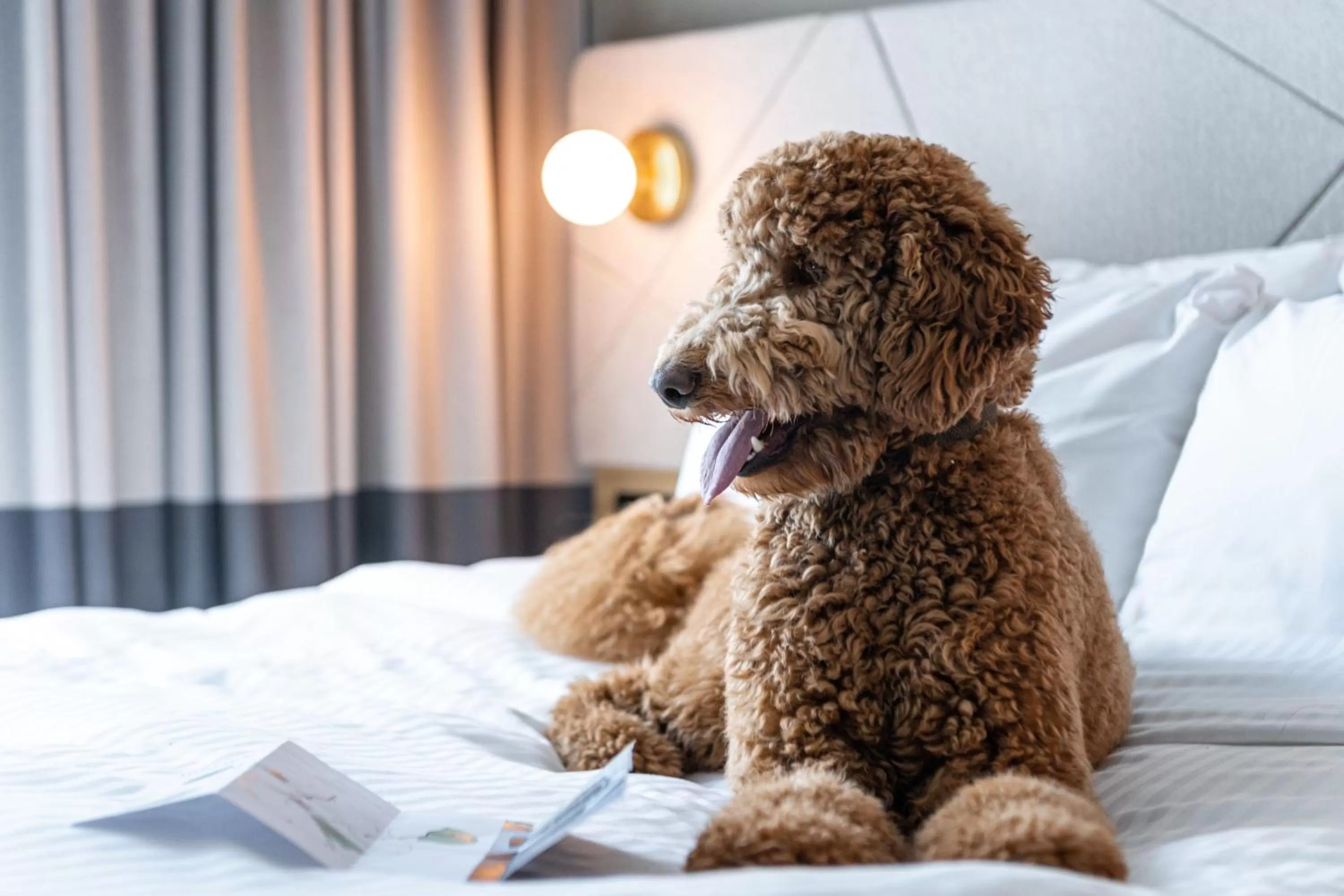 Other, Bed in Residence Inn by Marriott Slough