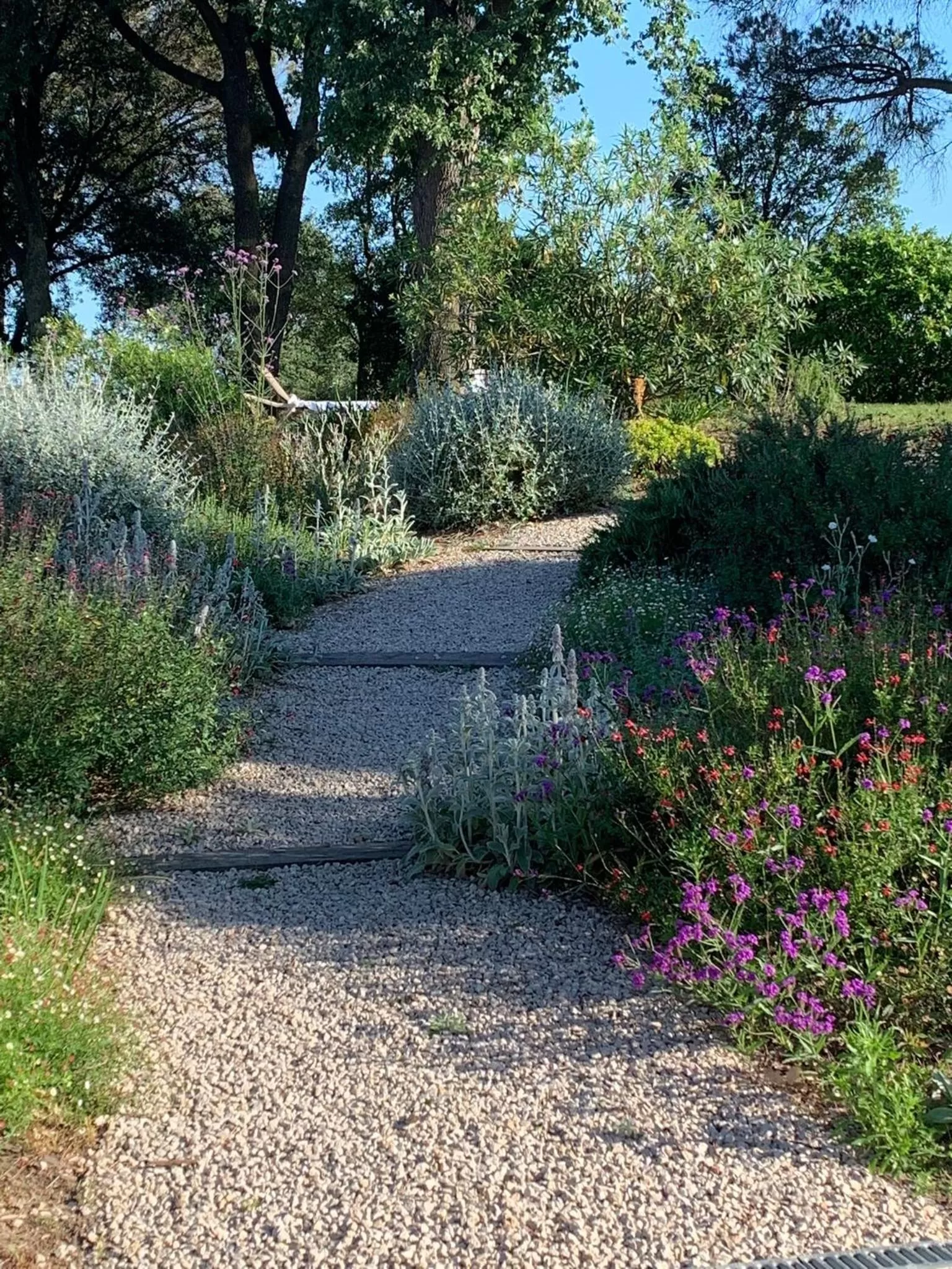 Natural landscape in Hotel Eden Park by Brava Hoteles