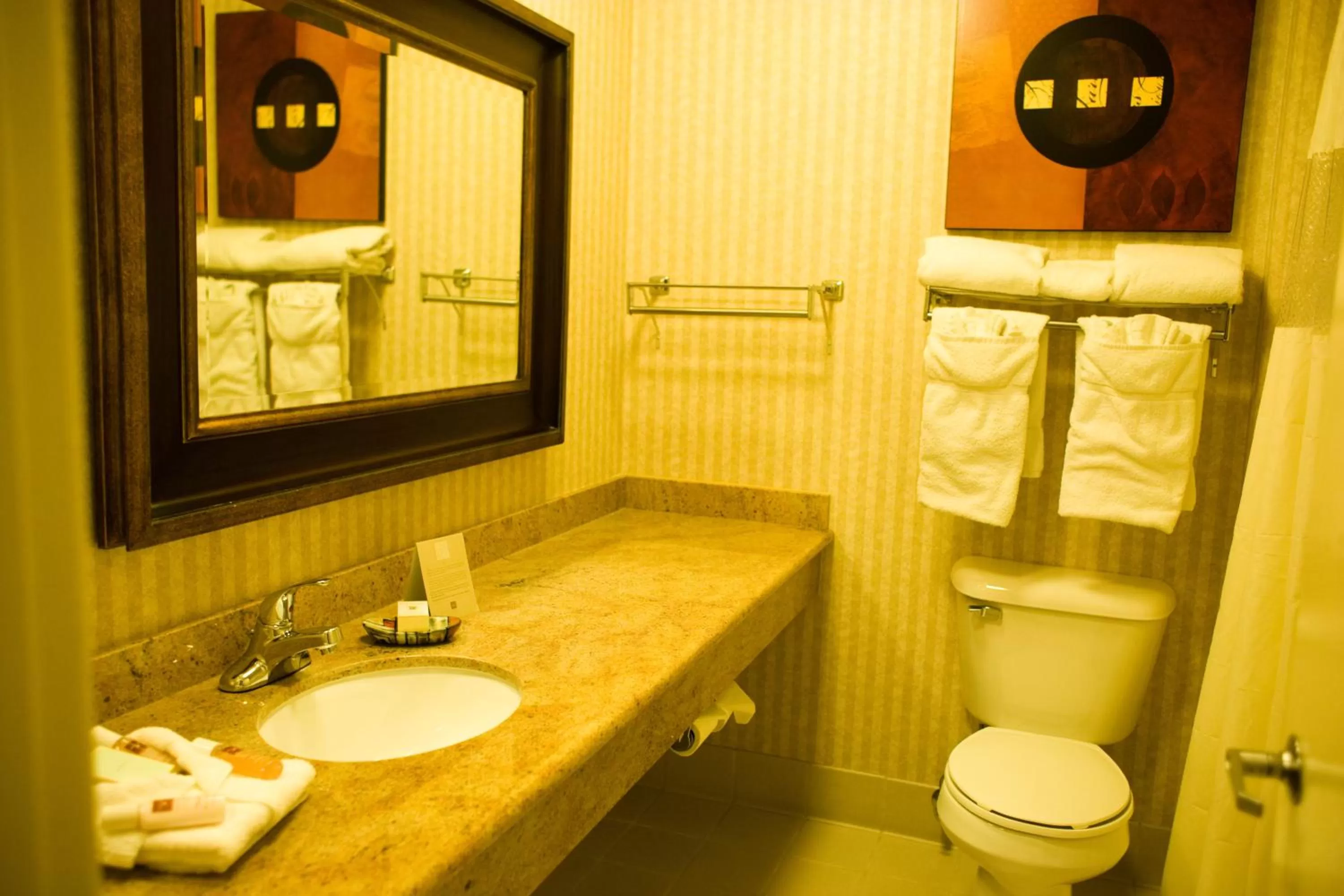 Toilet in Borrego Springs Resort
