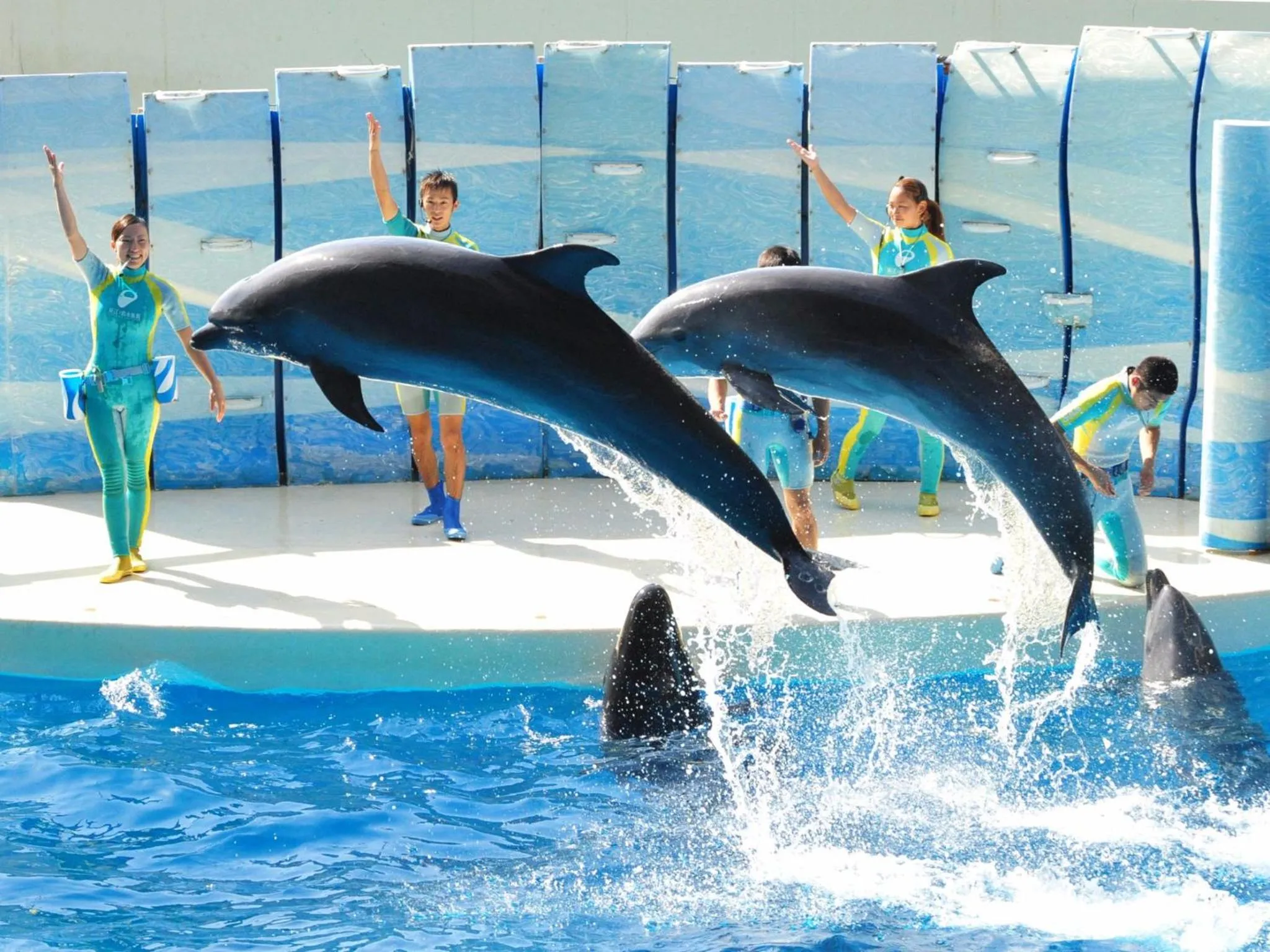 Nearby landmark in Sotetsu Fresa Inn Kamakura-Ofuna kasamaguchi