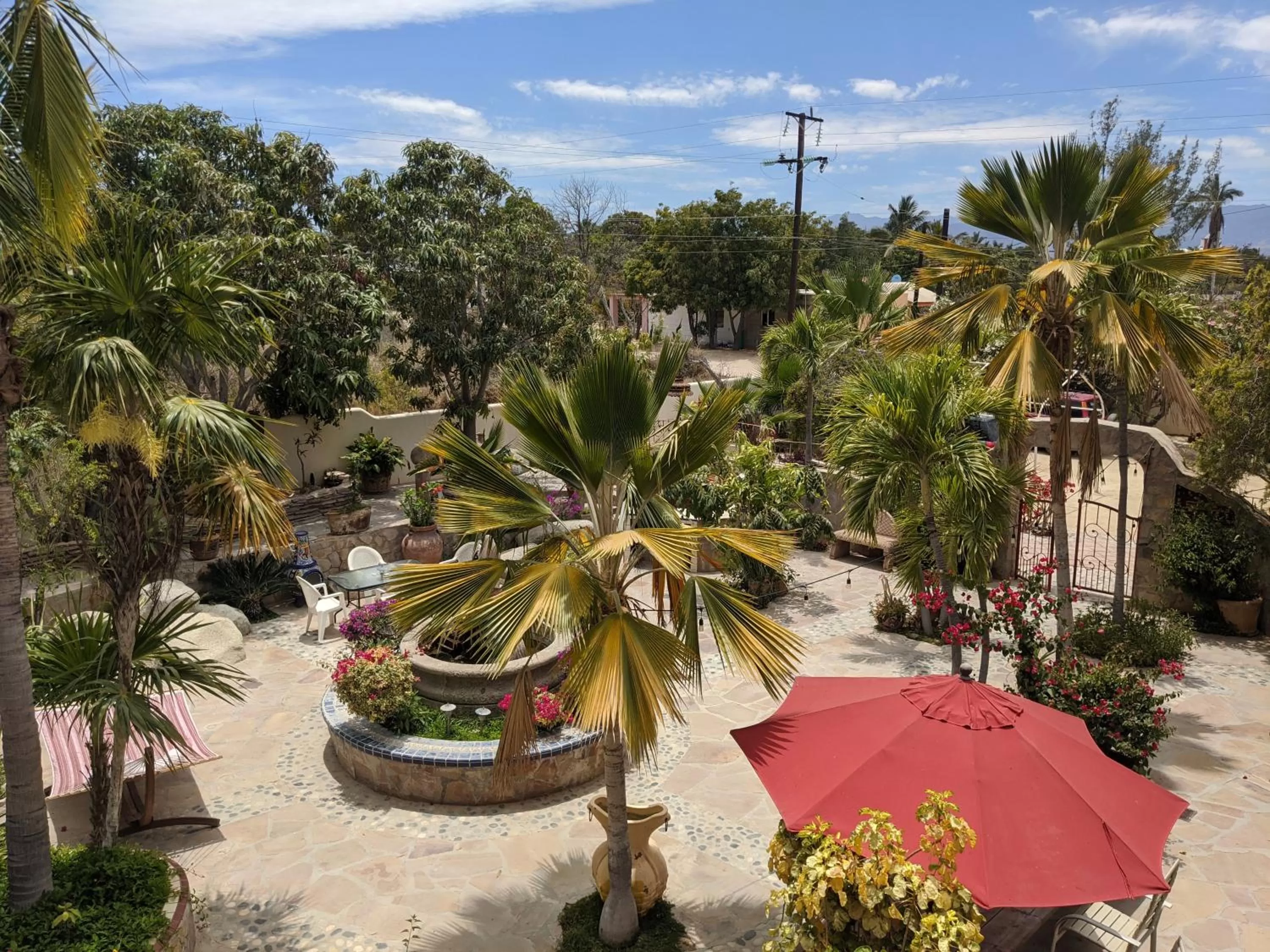 Garden in Hacienda De Palmas