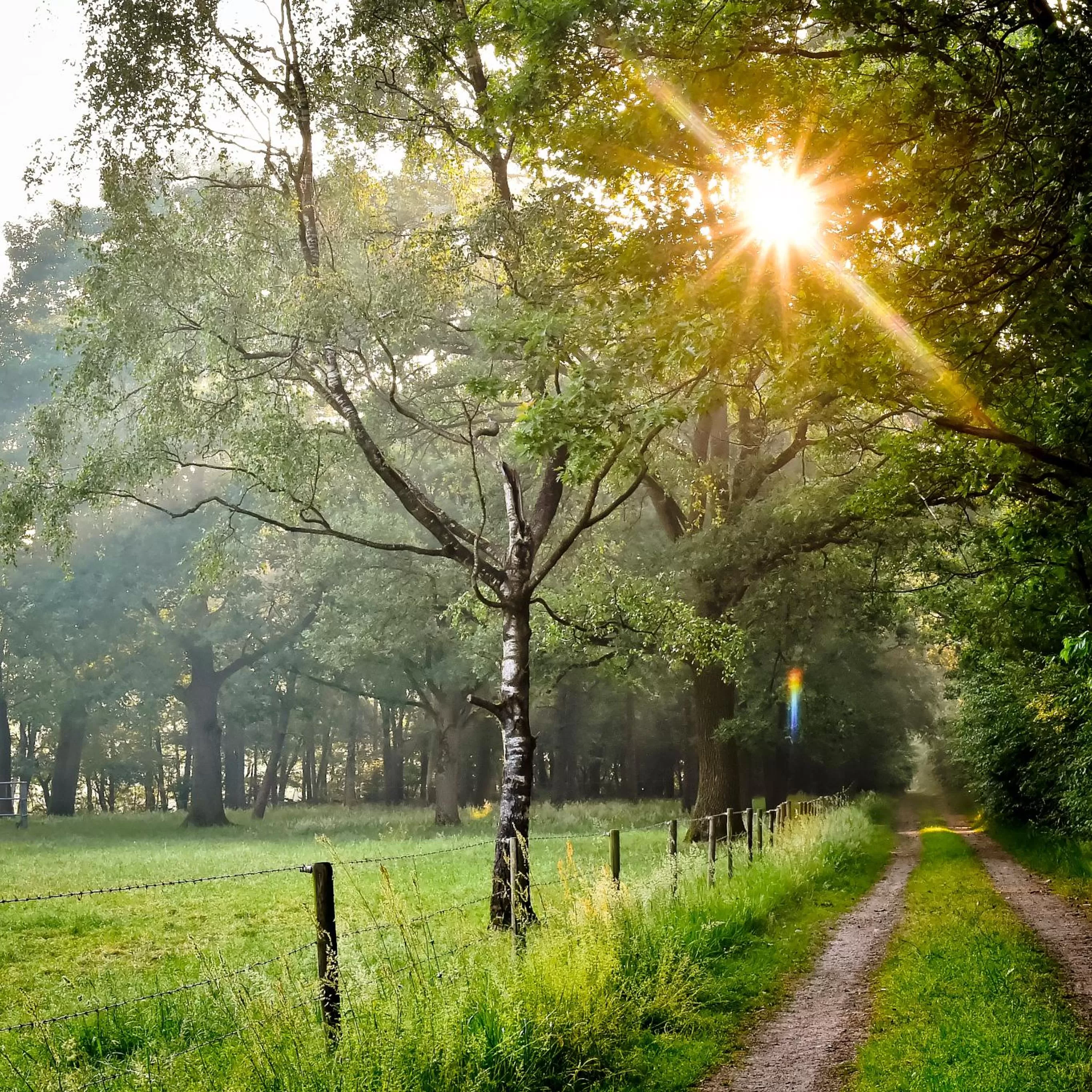 Natural landscape in Landhuis Hotel de Herikerberg