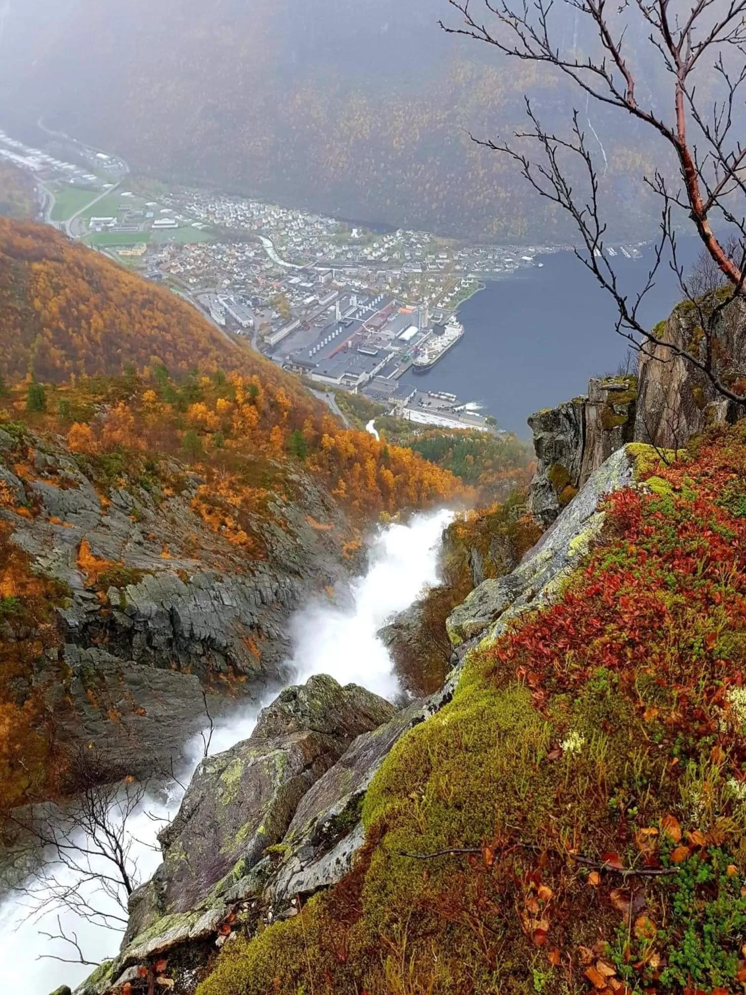 Natural landscape in Øren Hotel