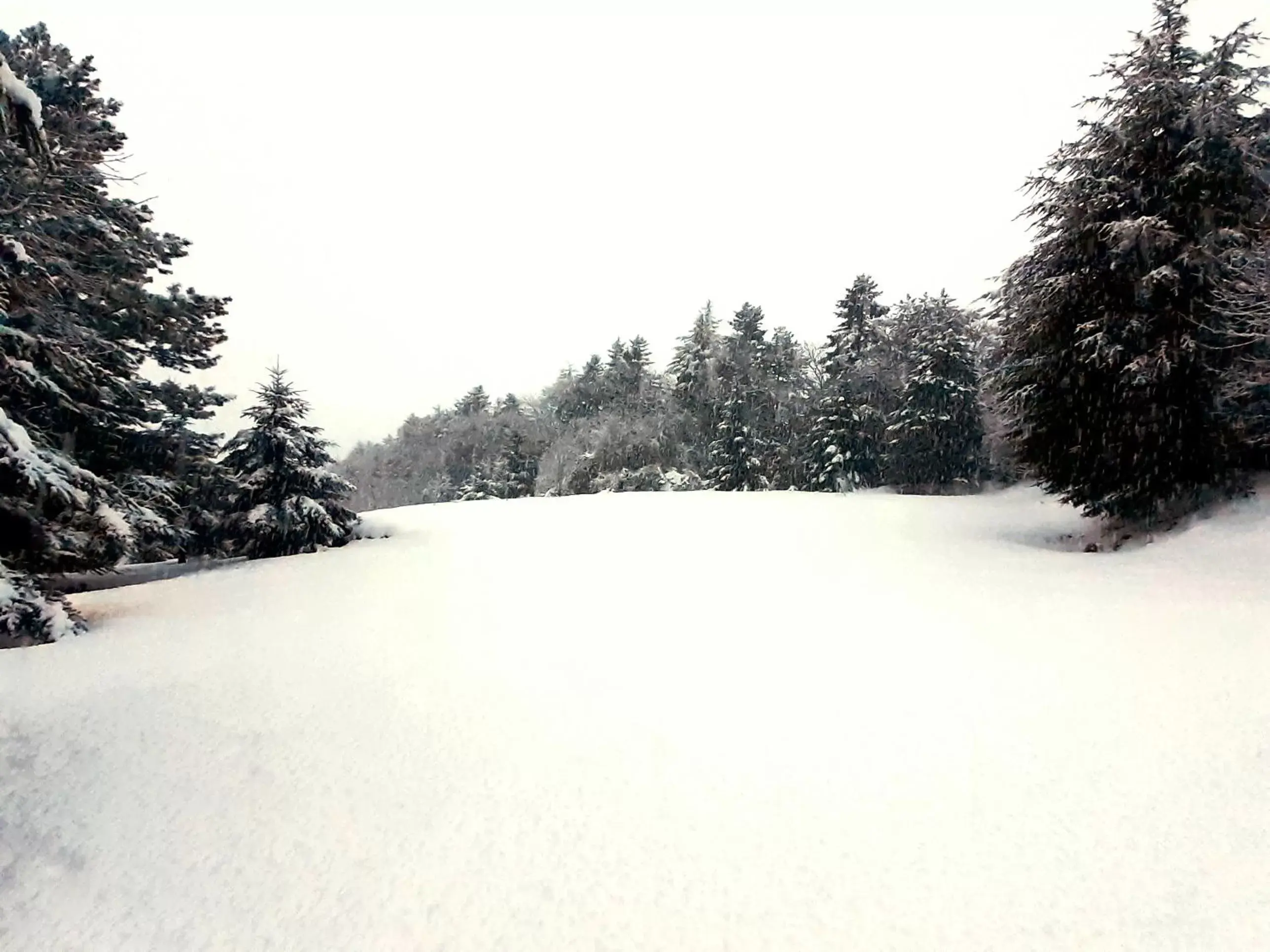 Winter in b&b Casa Alegría