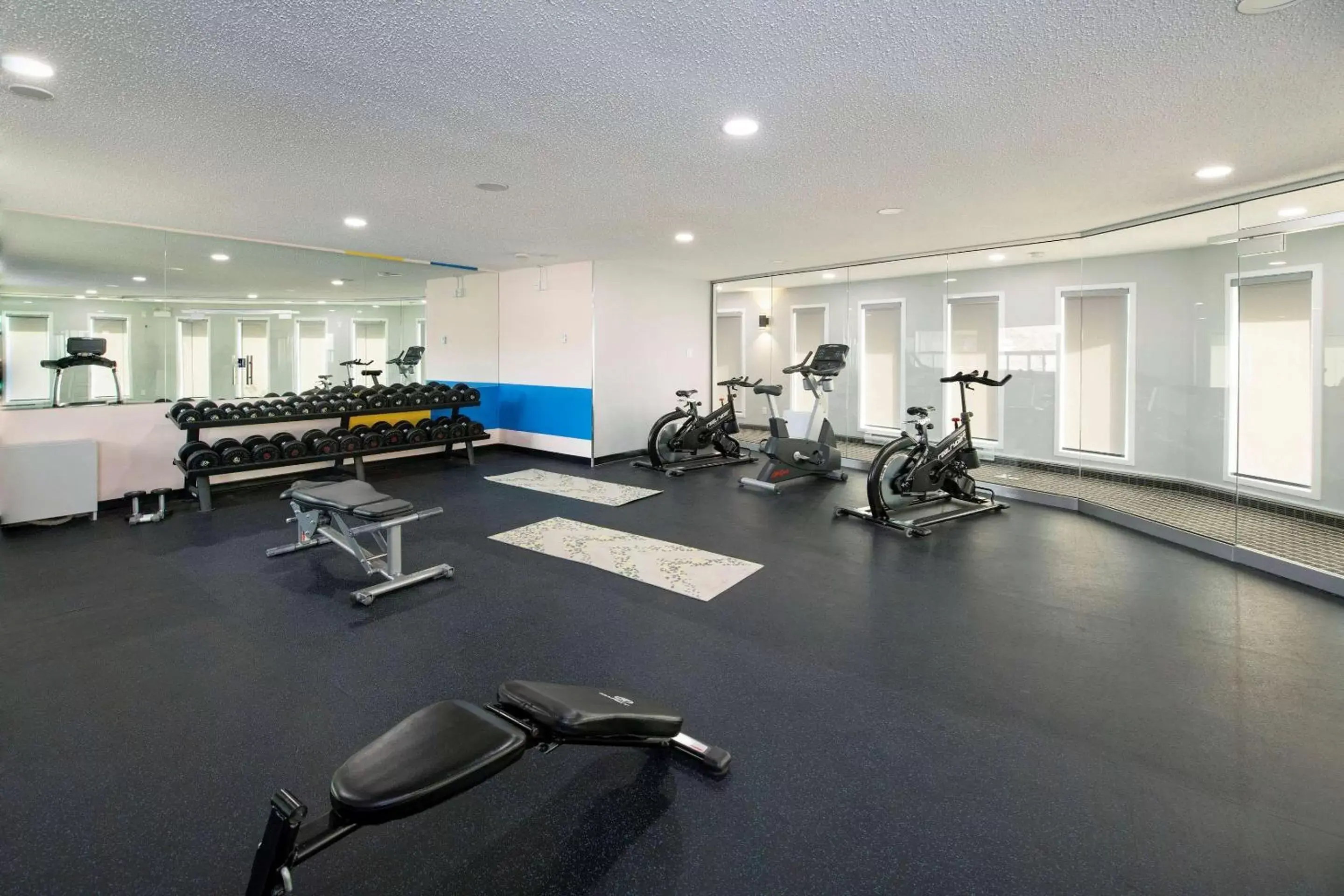 Activities, Fitness Center/Facilities in Clarion Pointe