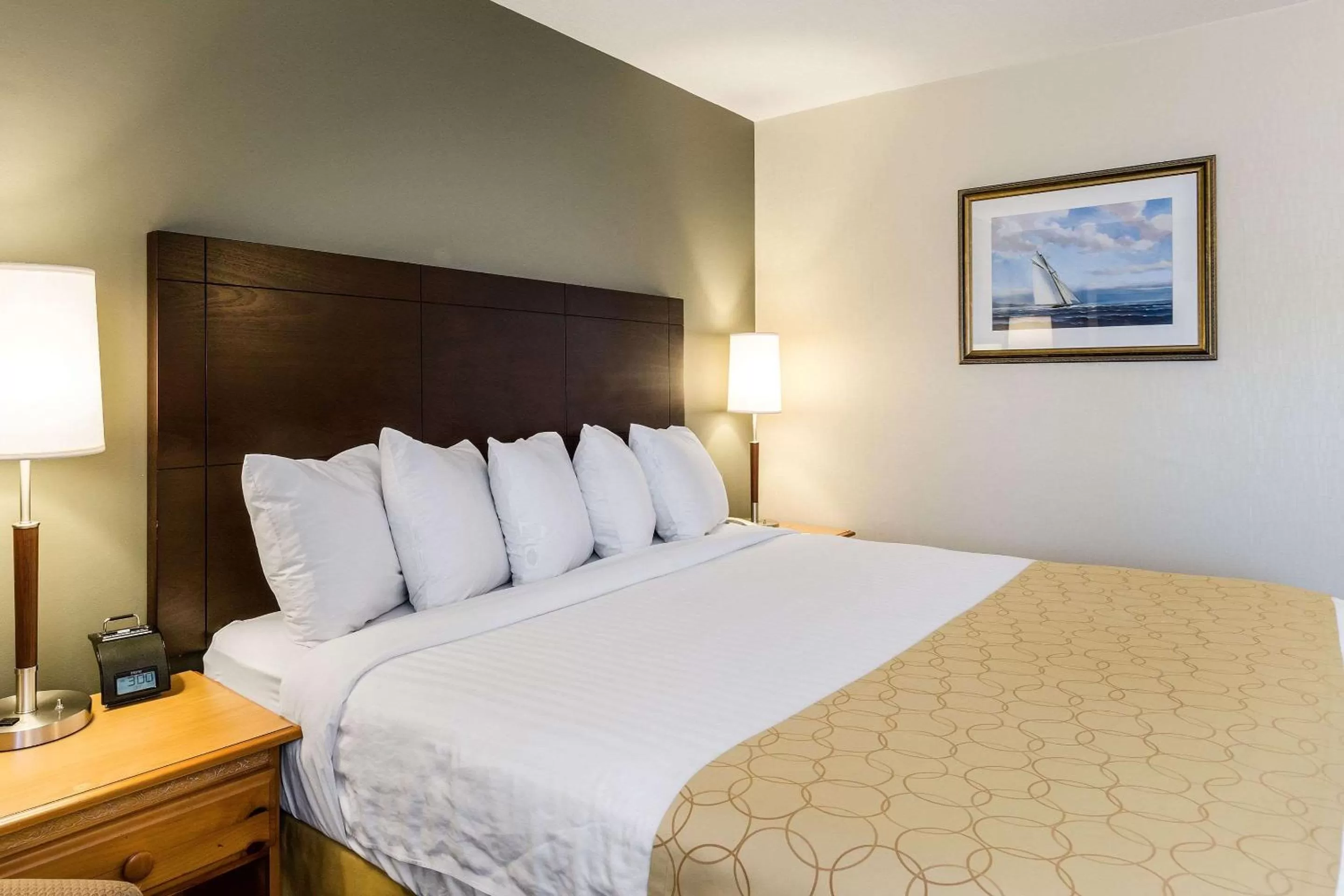 Photo of the whole room, Bed in Clarion Hotel Seekonk - Providence