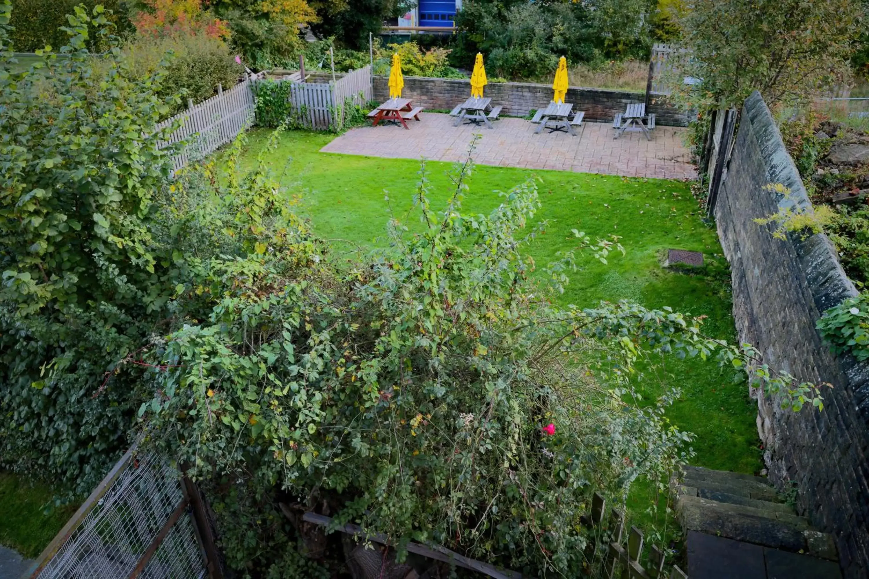 Garden in The Friendship Hotel