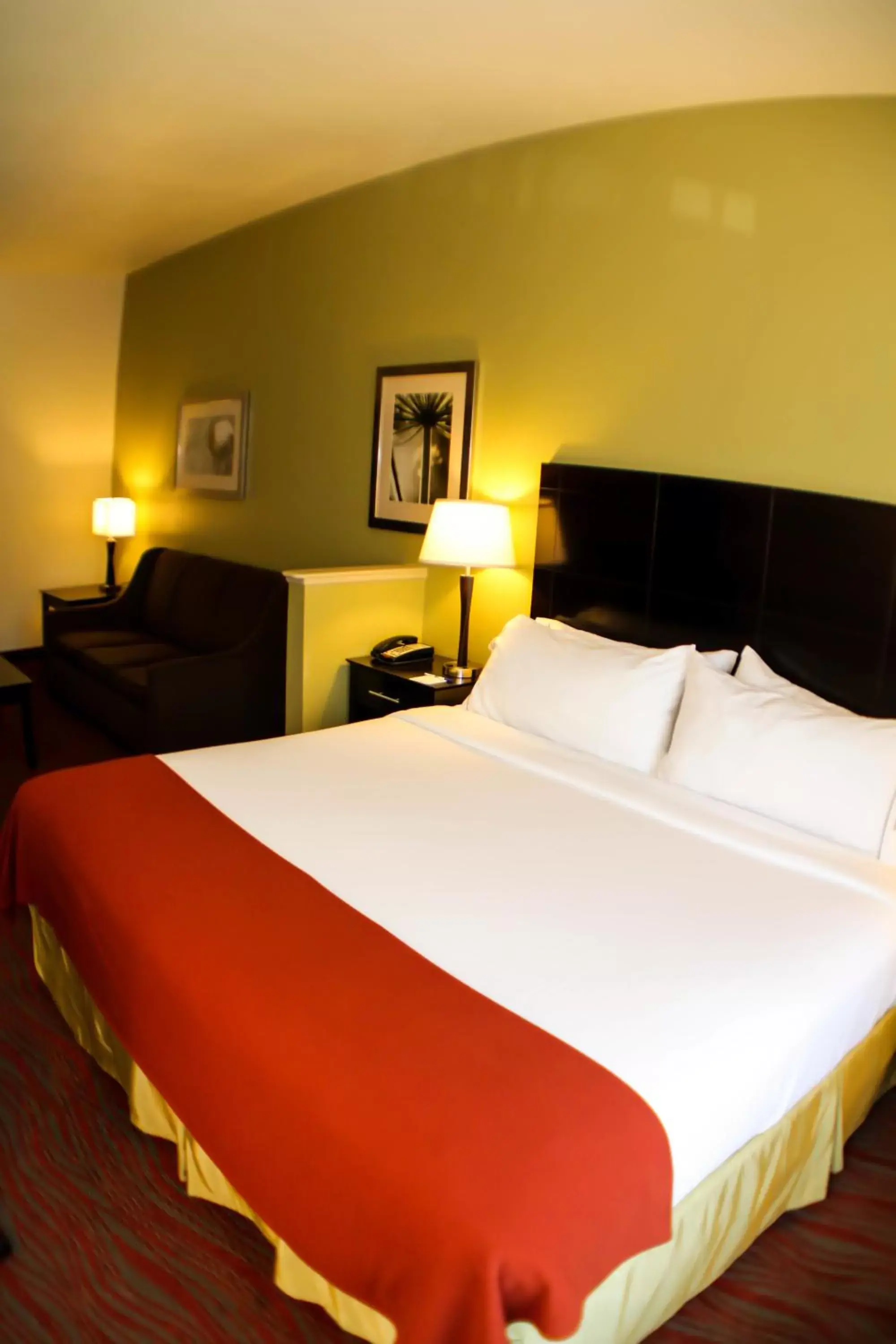 Photo of the whole room, Bed in Holiday Inn Express & Suites Indianapolis North - Carmel, an IHG Hotel