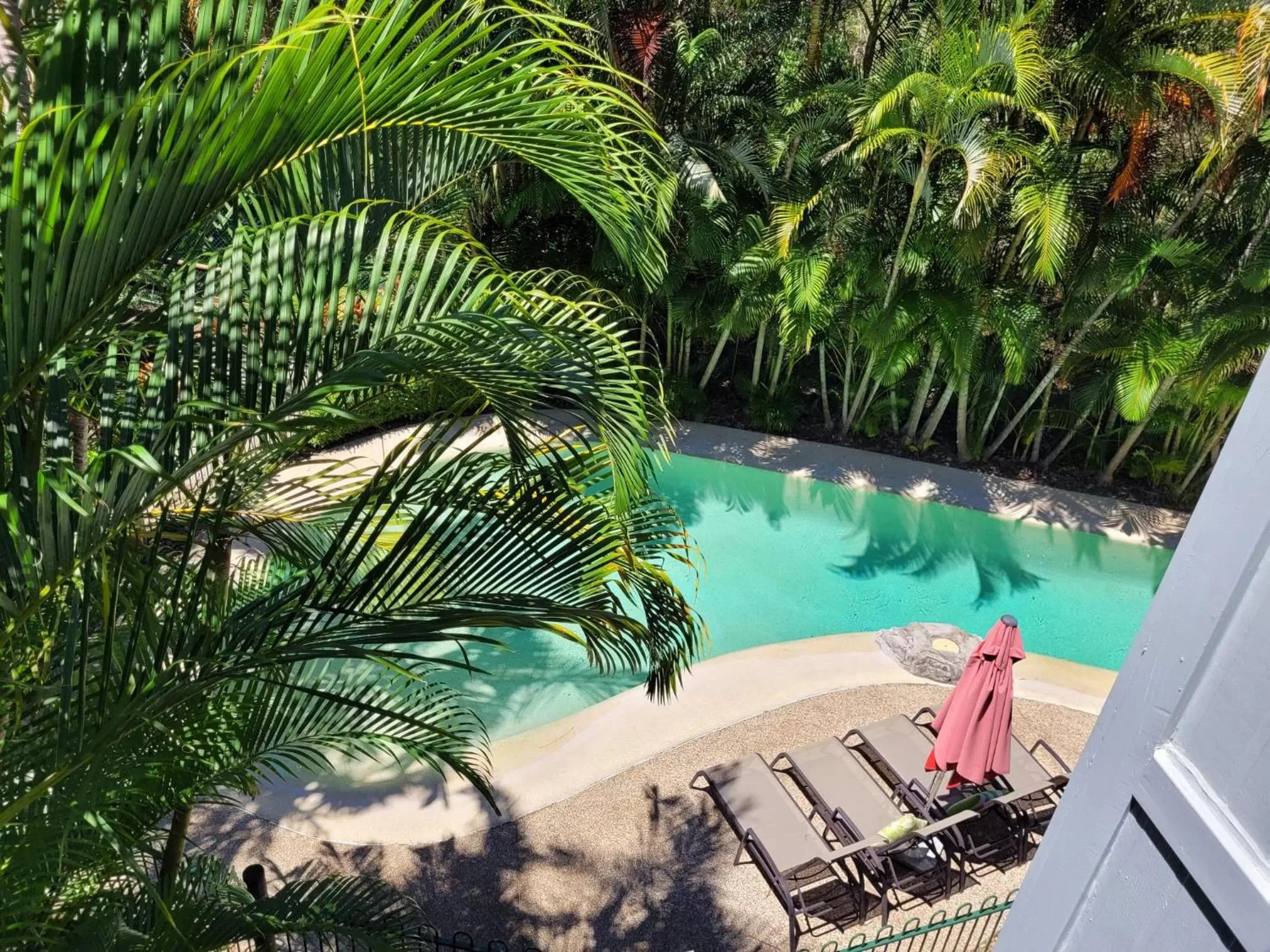Pool view in South Pacific Resort & Spa Noosa