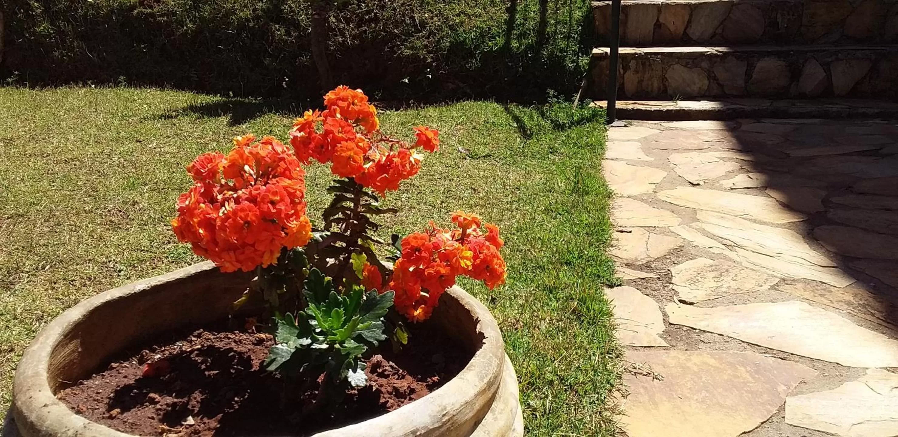 Garden in Pousada Vila Real Flats
