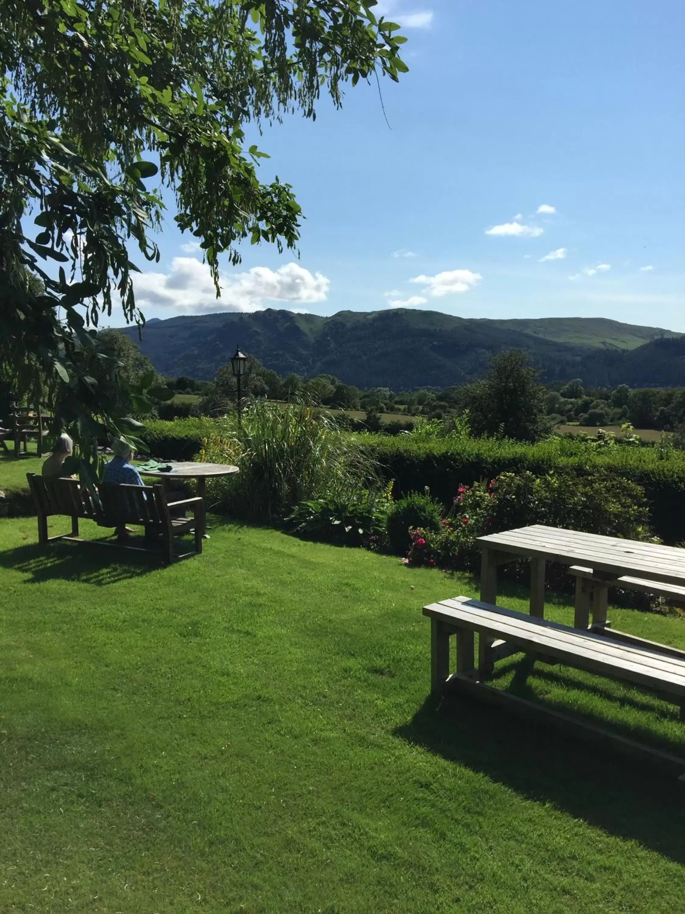 Garden in Ravenstone Manor