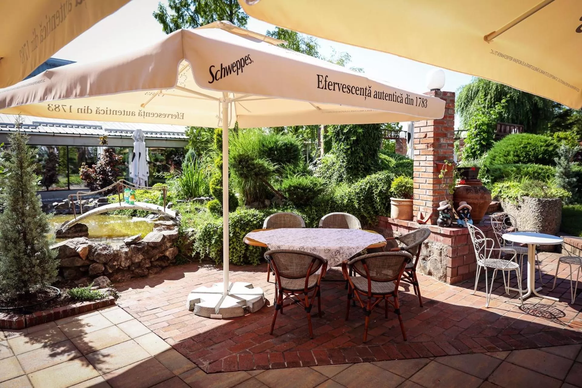 Restaurant/places to eat in Hotel Senator