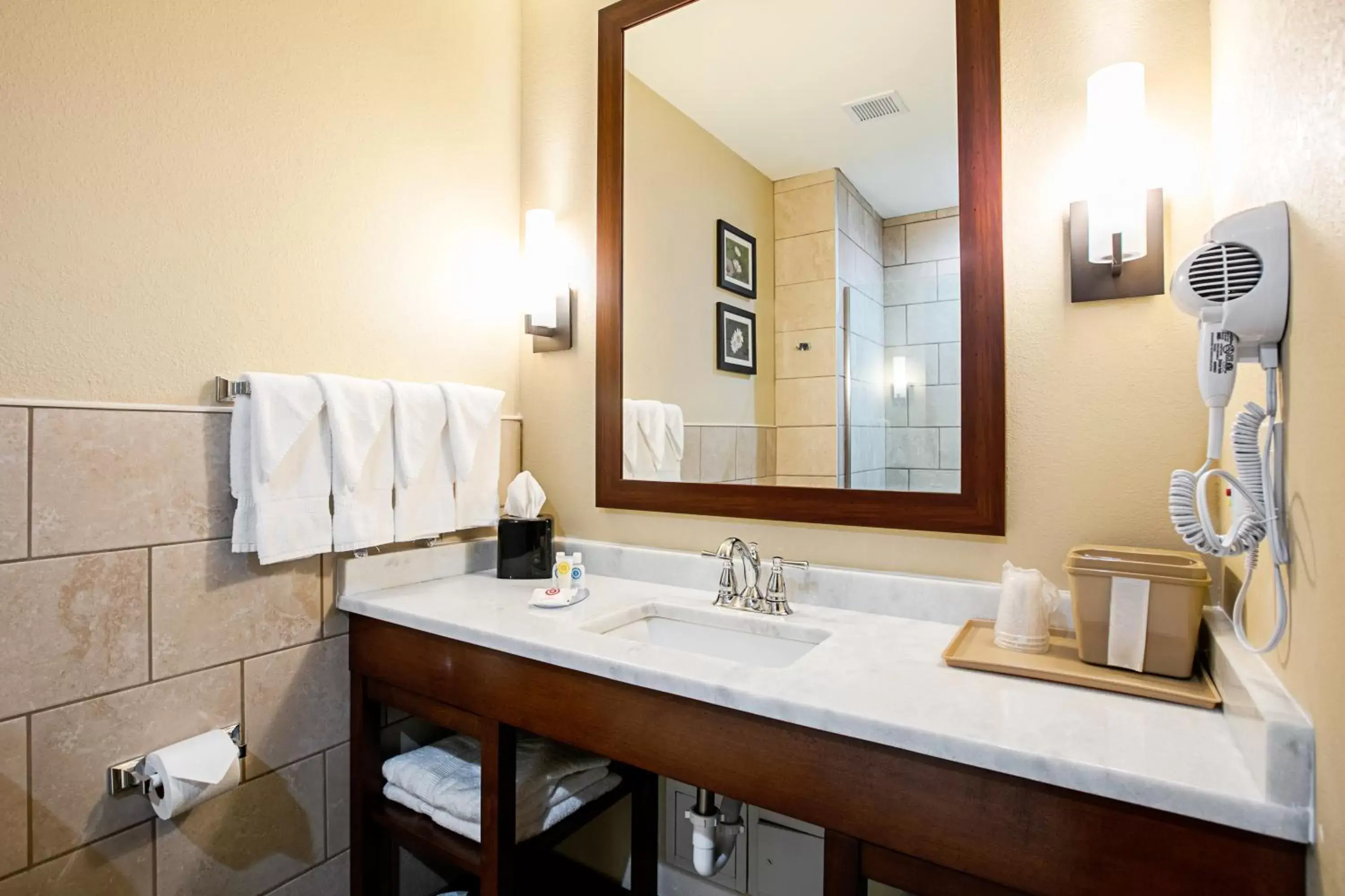 Bathroom in Comfort Suites Fishkill near Interstate 84