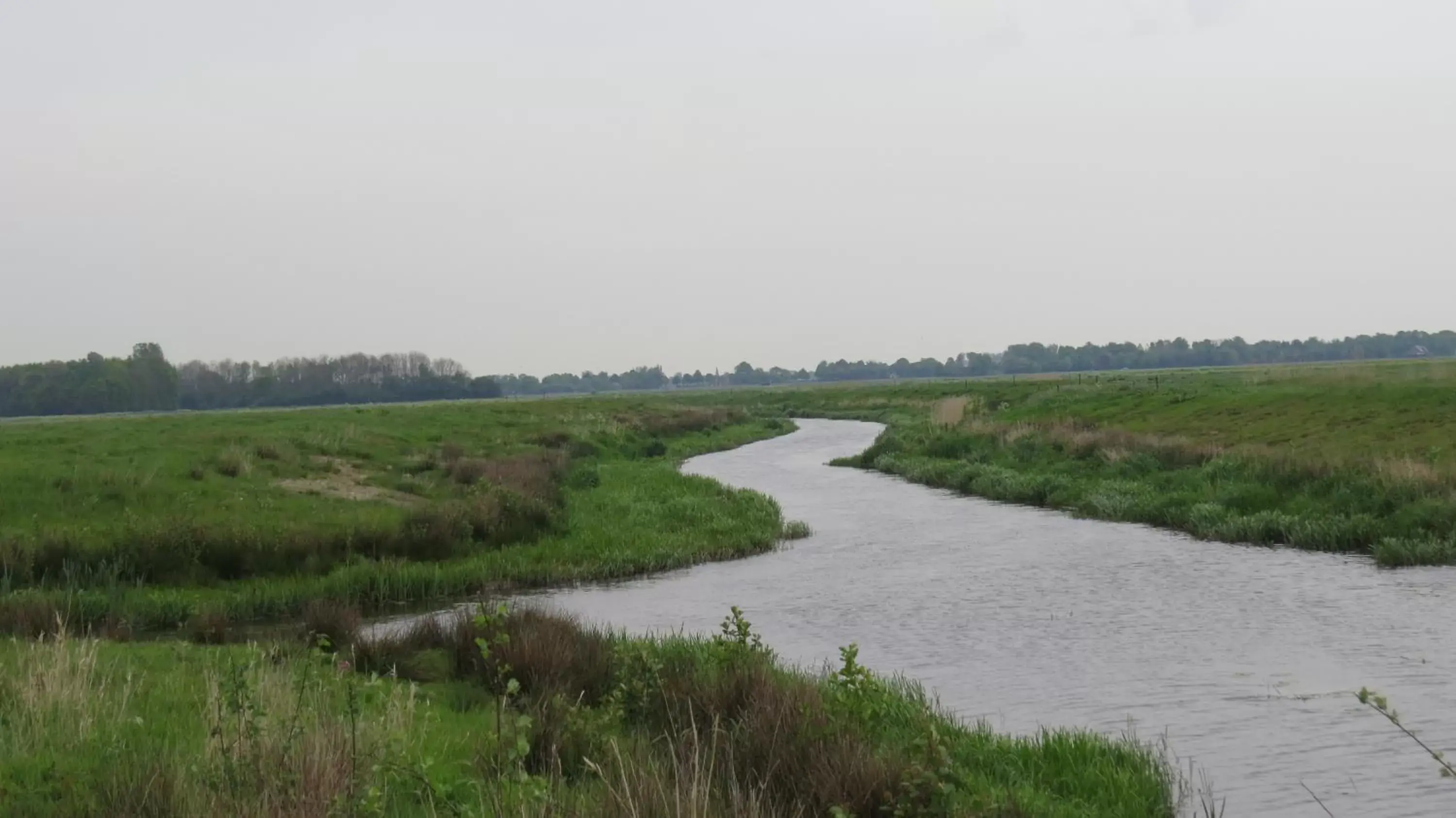 Natural landscape in 't Zwanemeer