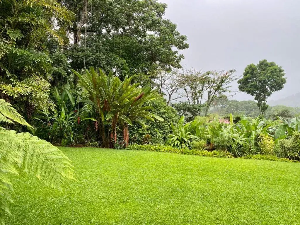 Natural landscape, Garden in Argovia Finca Resort