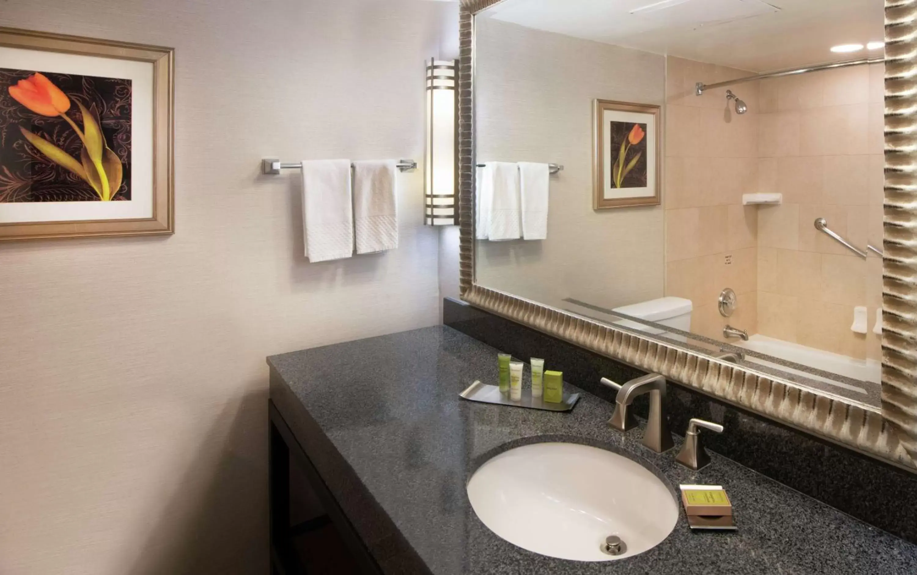Bathroom in DoubleTree Suites by Hilton Hotel Philadelphia West