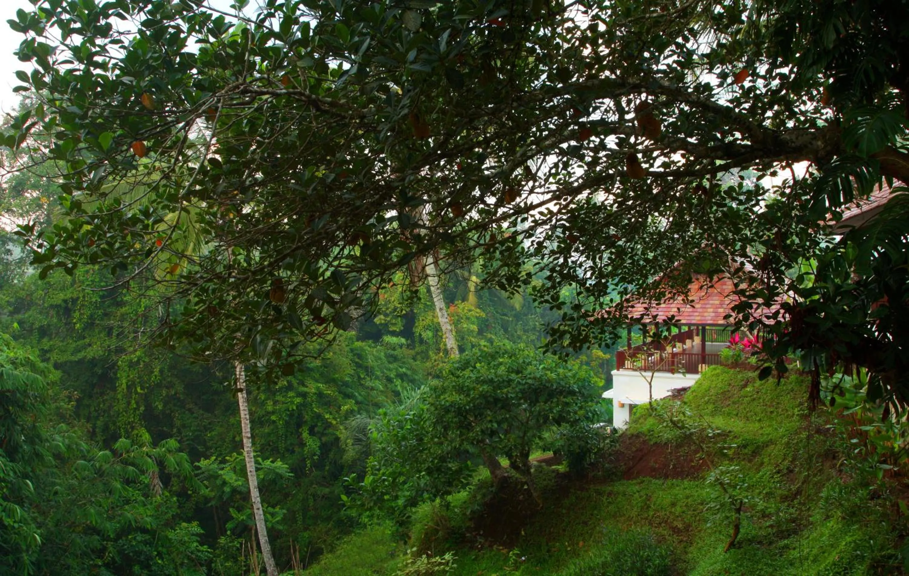 Natural landscape in BeingSattvaa Luxury Ubud