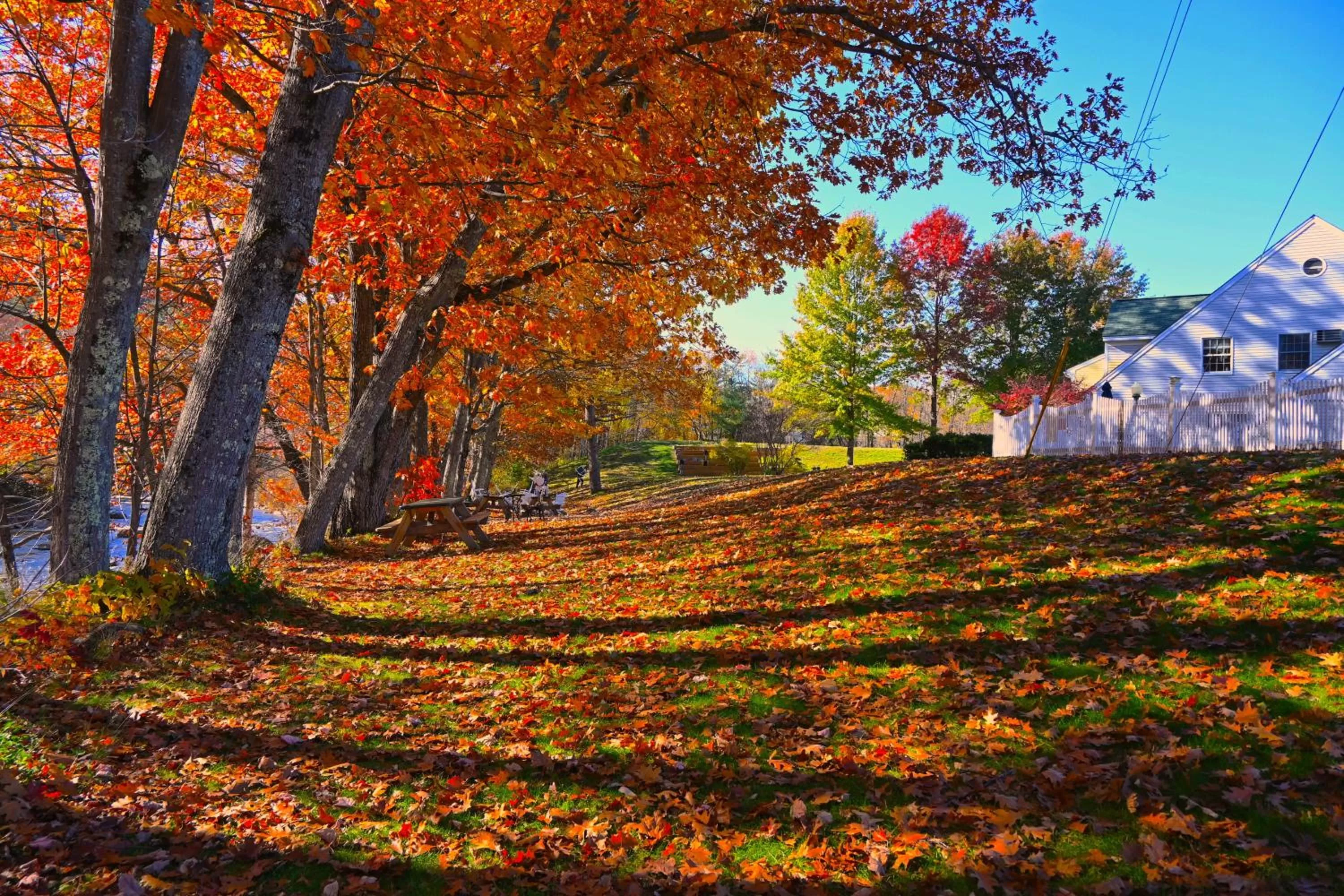 Garden in The Lodge at Jackson Village