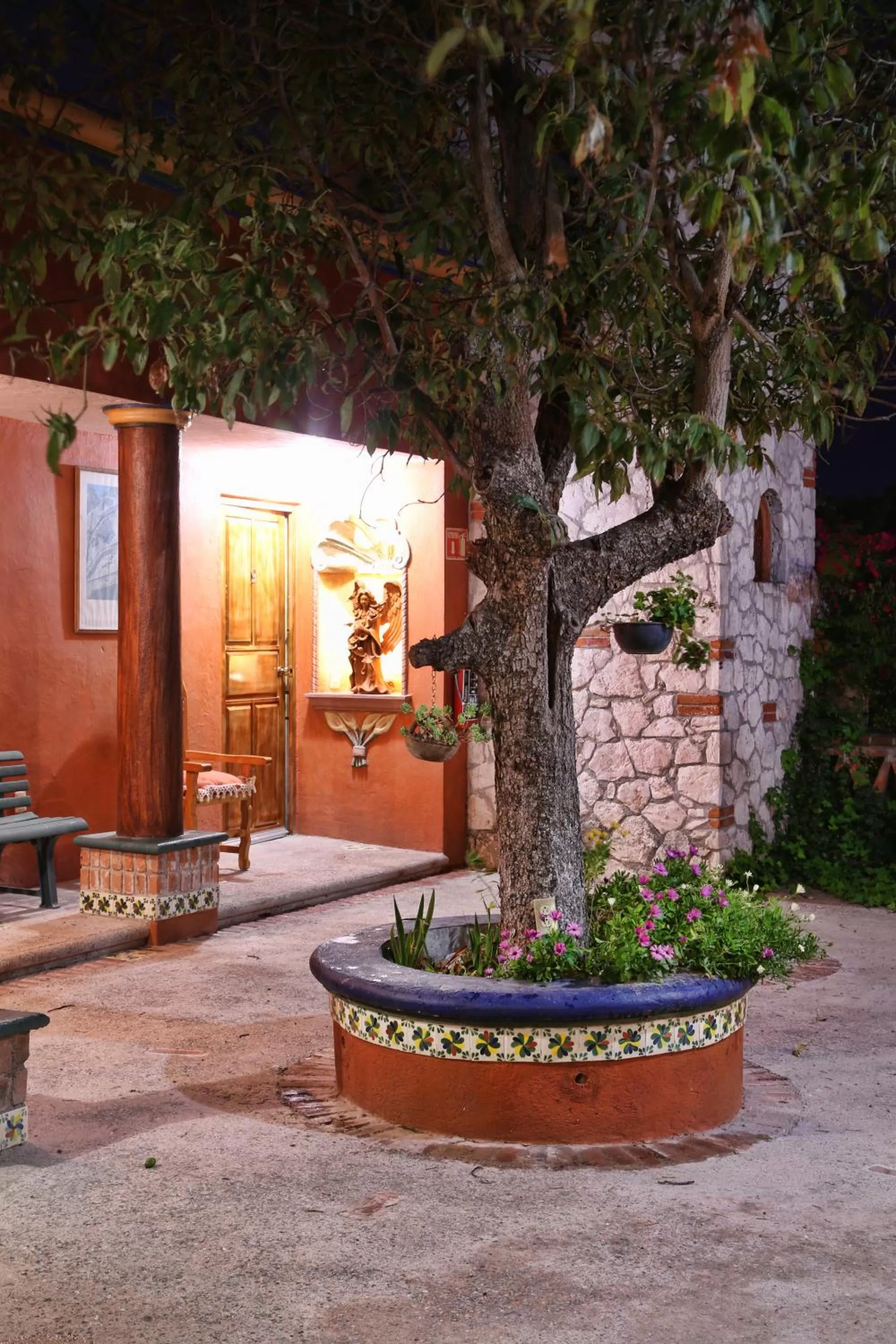 Garden, Patio/Outdoor Area in Hotel Feregrino