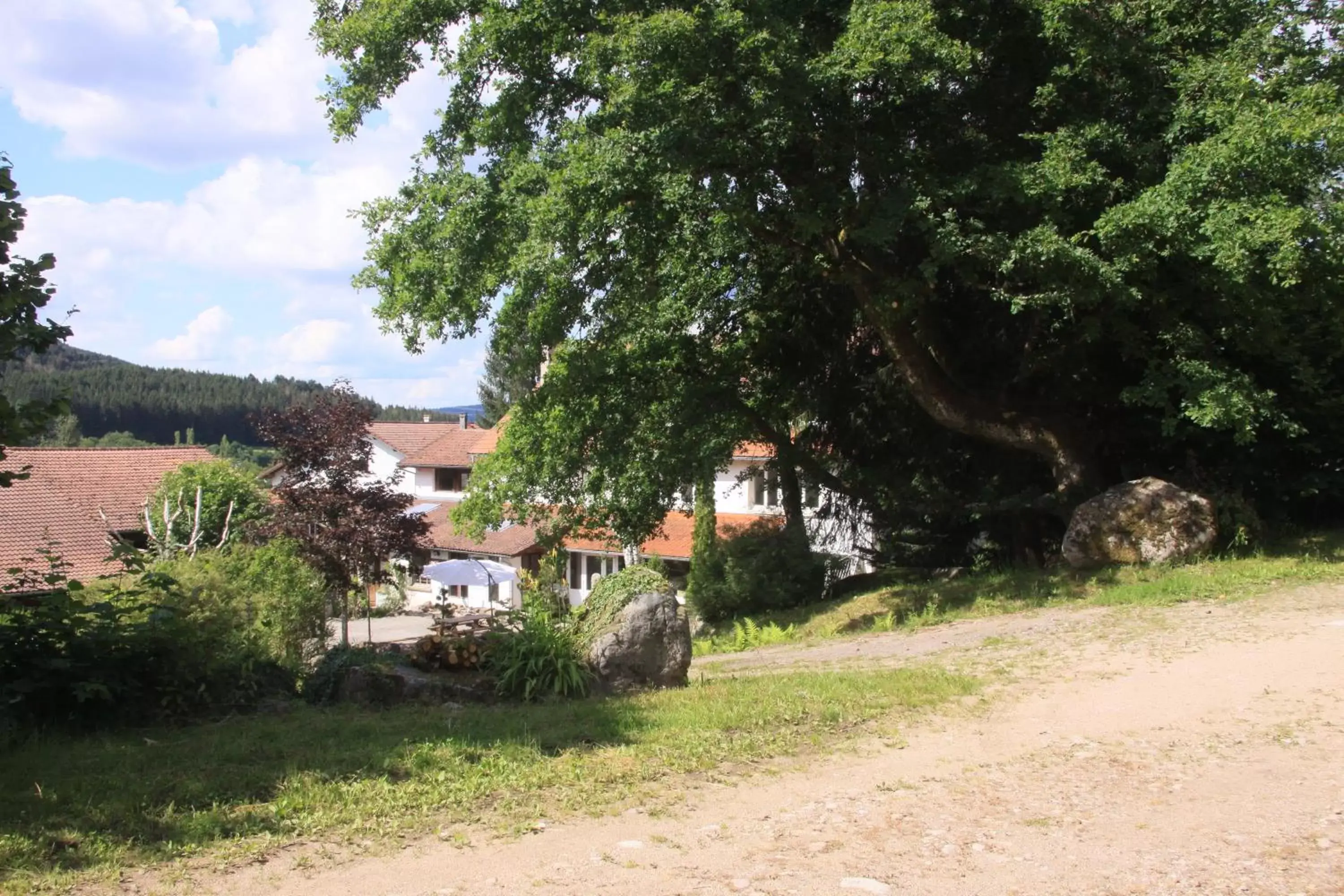 Garden in Notre Dame des Monts