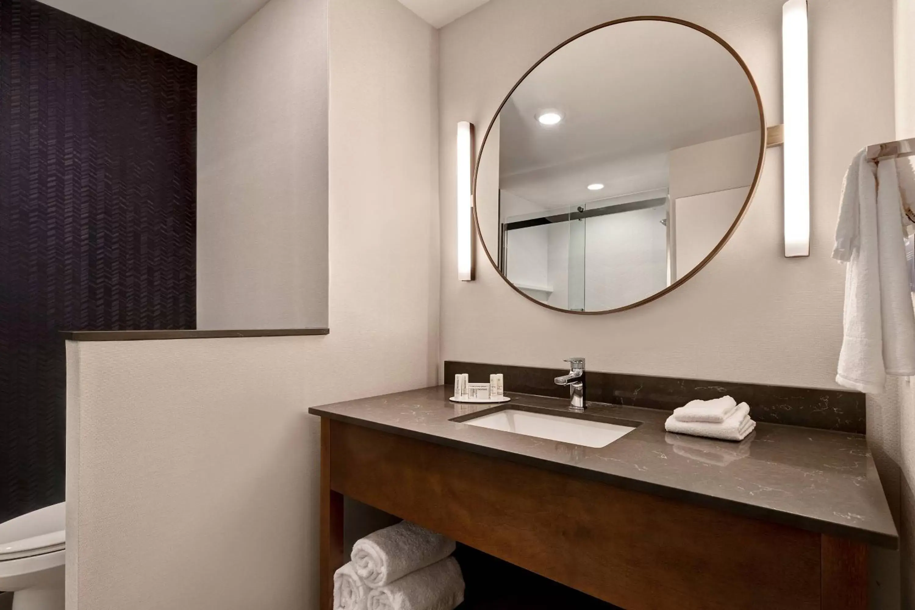 Bathroom in Fairfield by Marriott Inn & Suites St. Paul Eagan