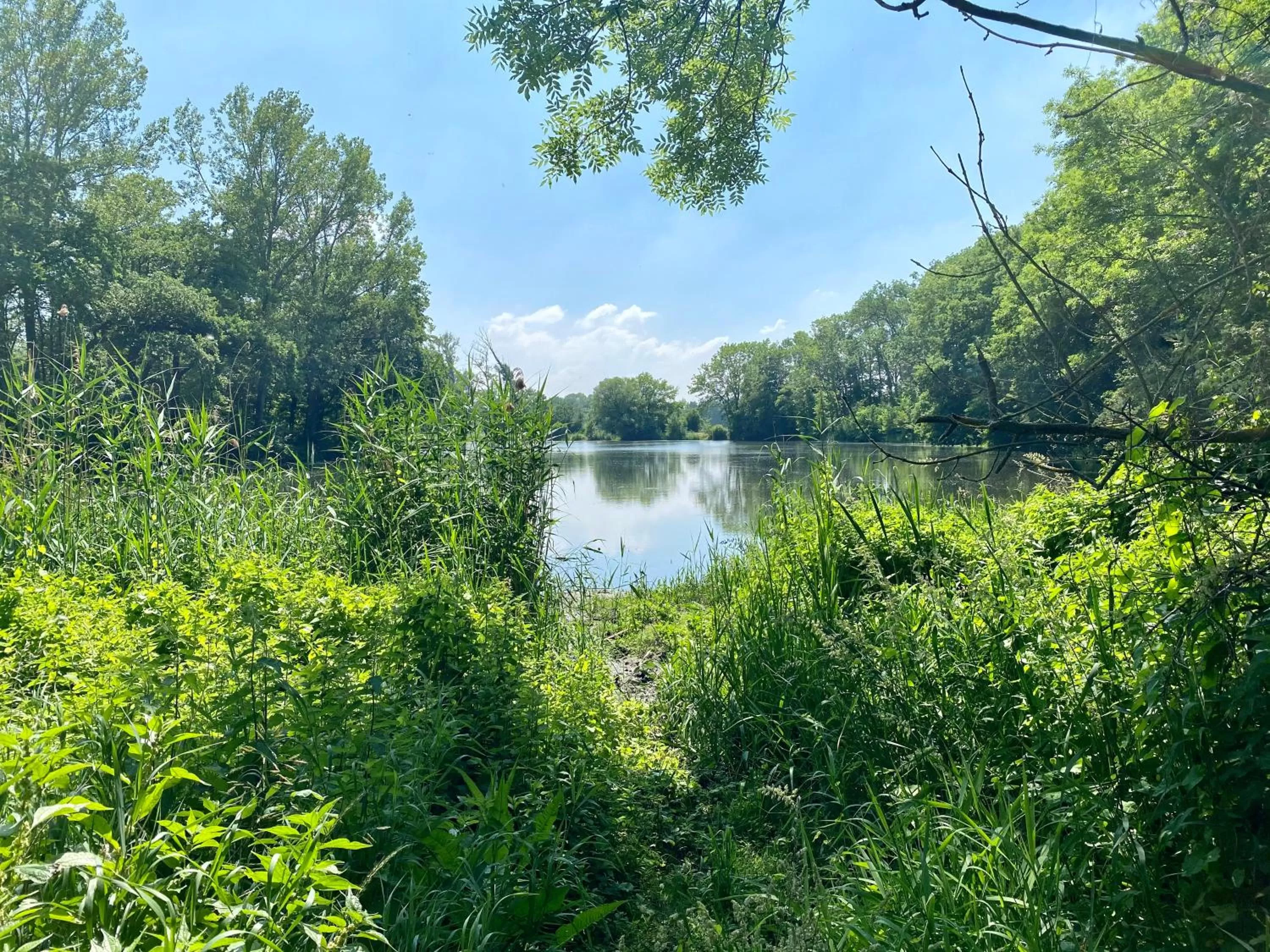 Fishing in SL'otel im Parforcehaus