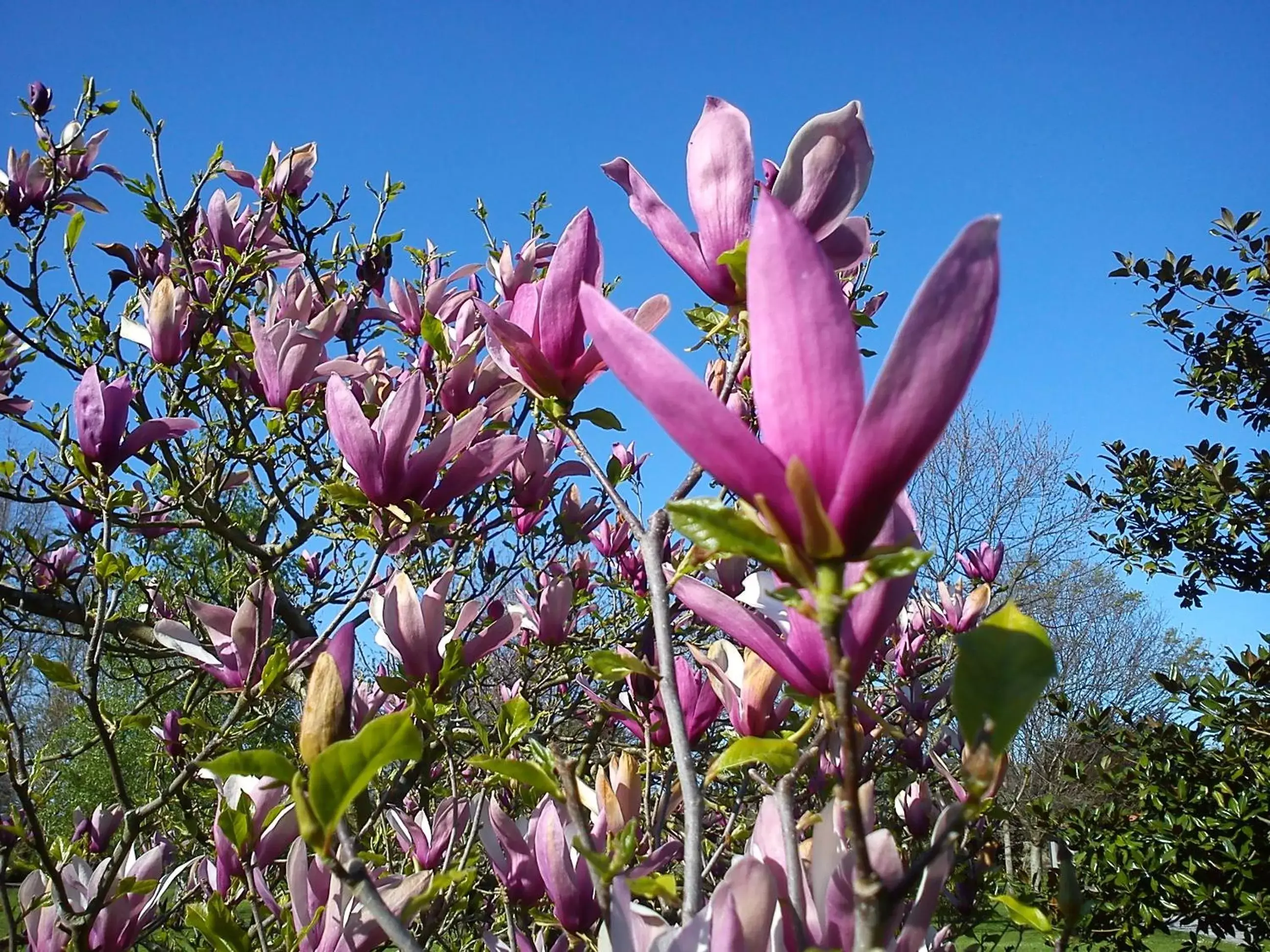 Other in Jardin de Carrejo