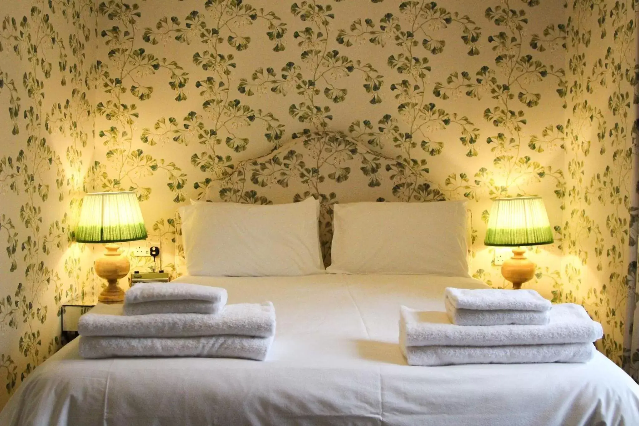 Double Room in The Queens Arms Double Room in The Queens Arms