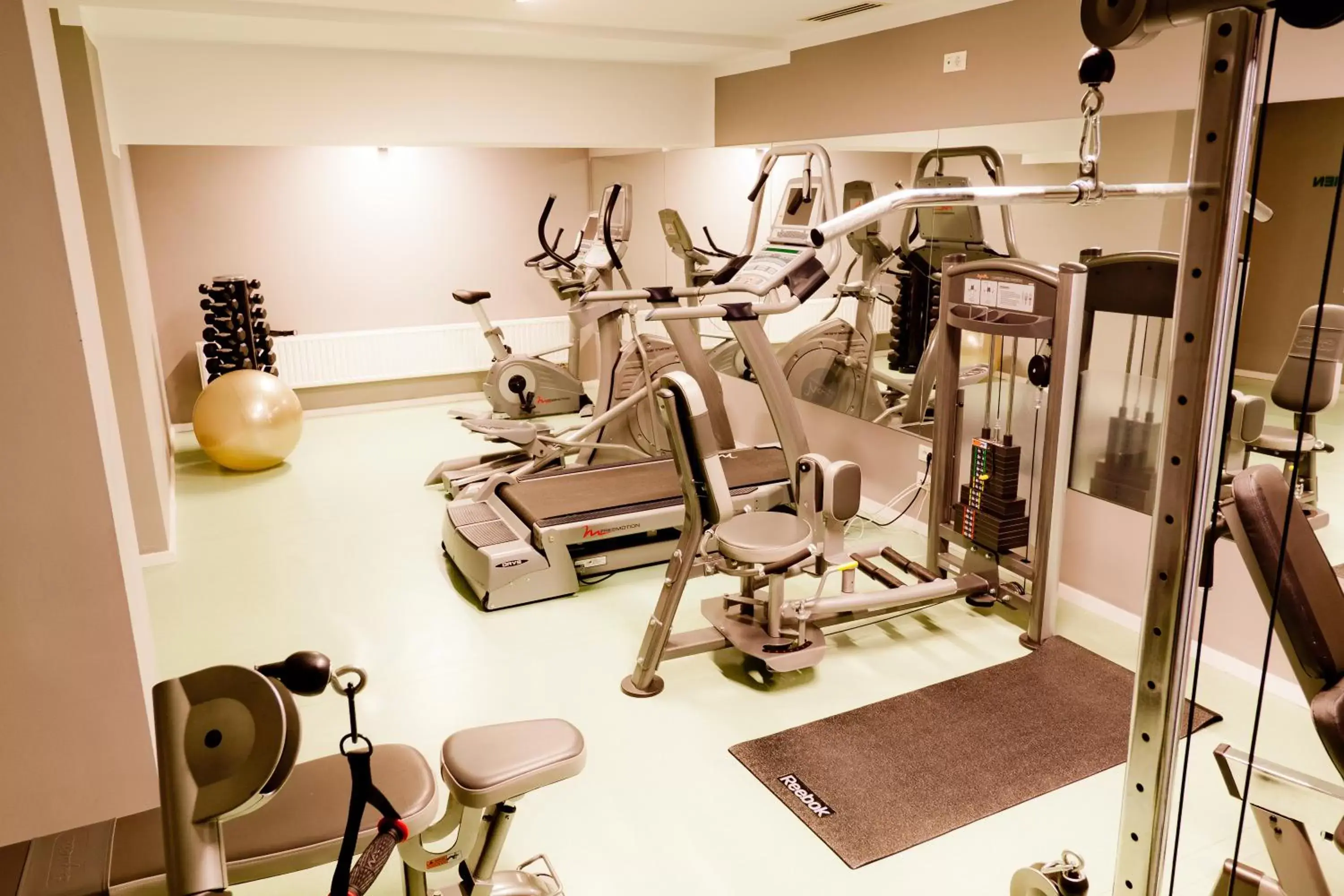 Fitness centre/facilities, Fitness Center/Facilities in Golden Tulip Ana Dome Hotel