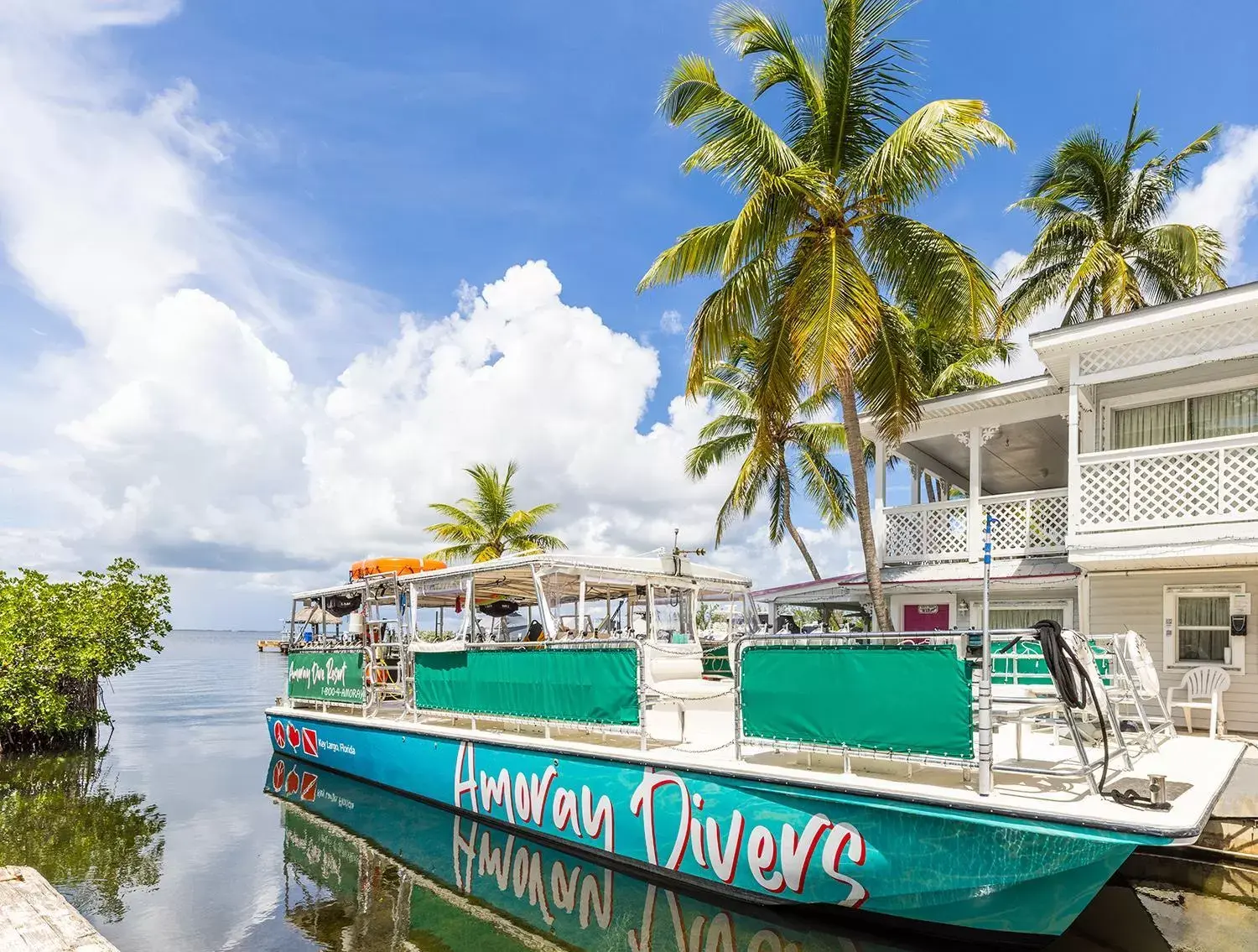 Property Building in Amoray Dive Resort