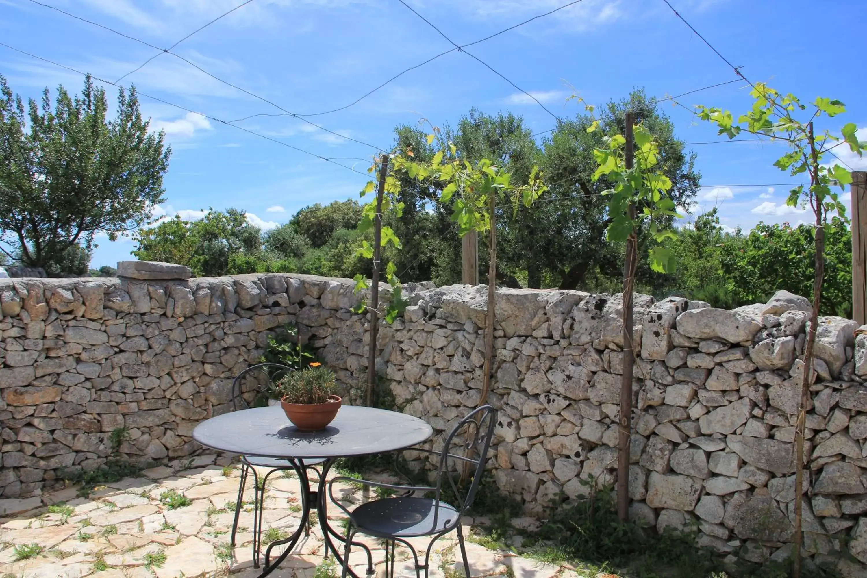 Communal kitchen in Masseria Trulli sull'Aia