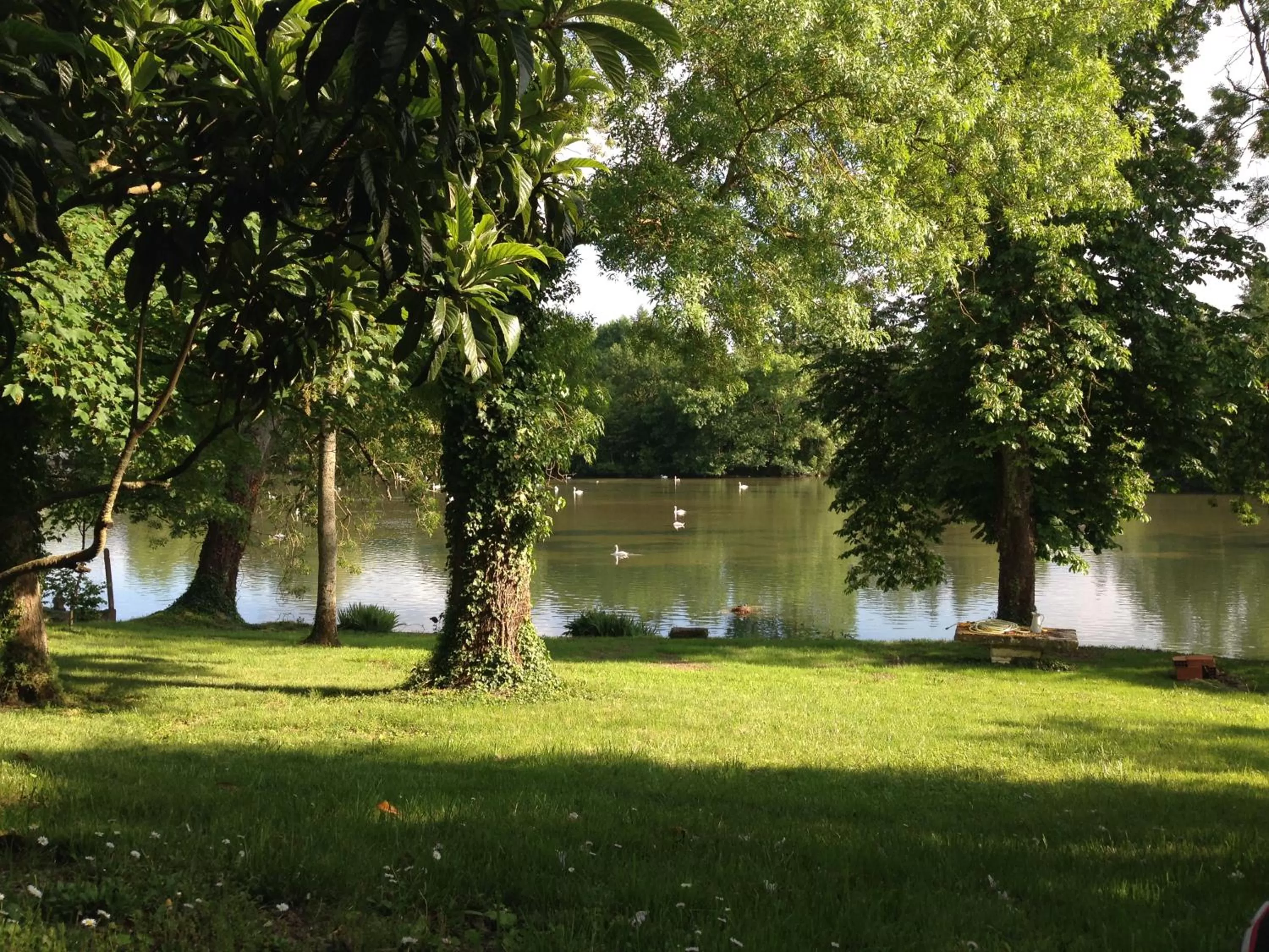 Garden view, Garden in Le Logis De Ruelle