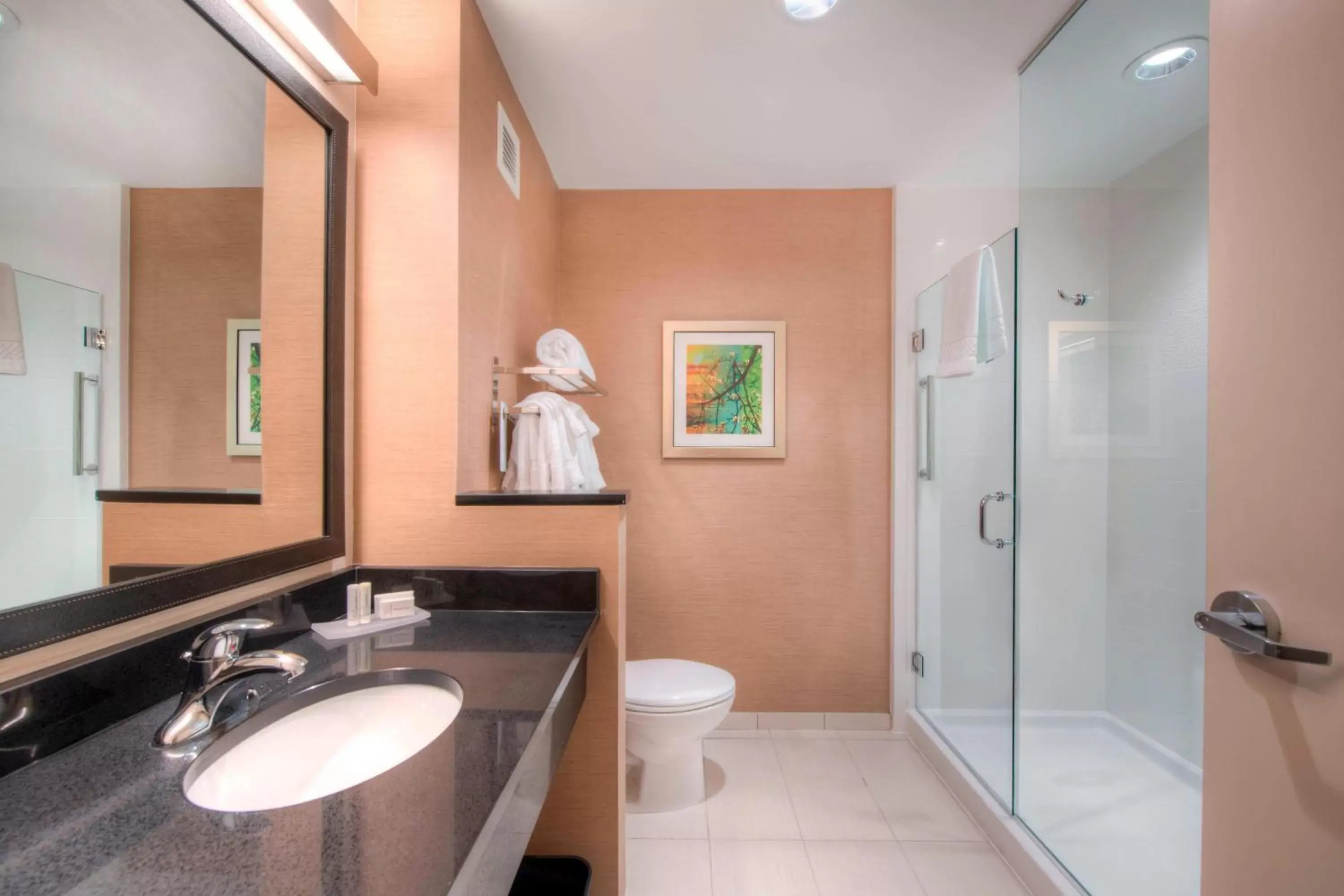 Bathroom in Fairfield Inn & Suites by Marriott Charlotte Airport