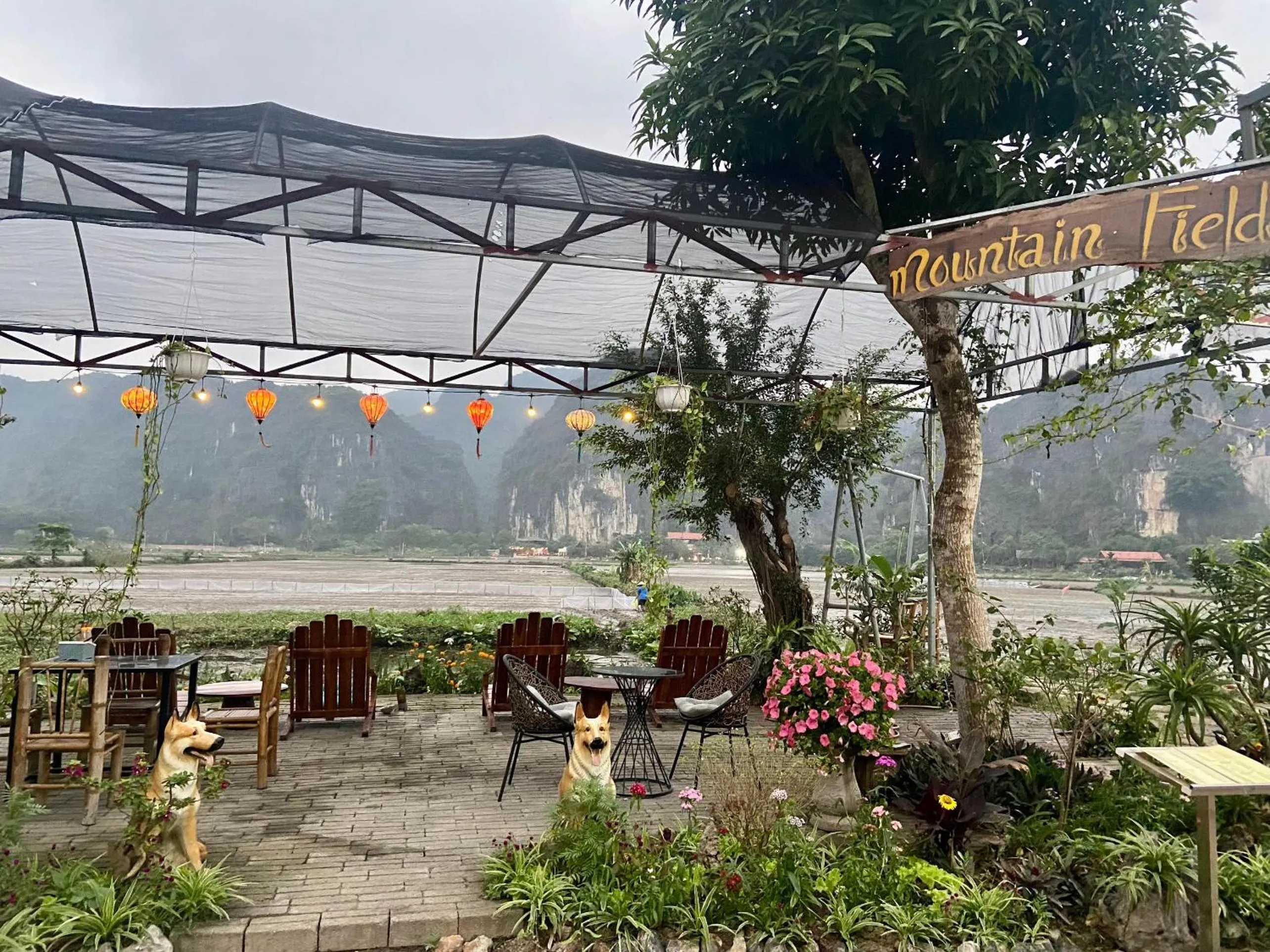 Tam Coc Mountain View Homestay