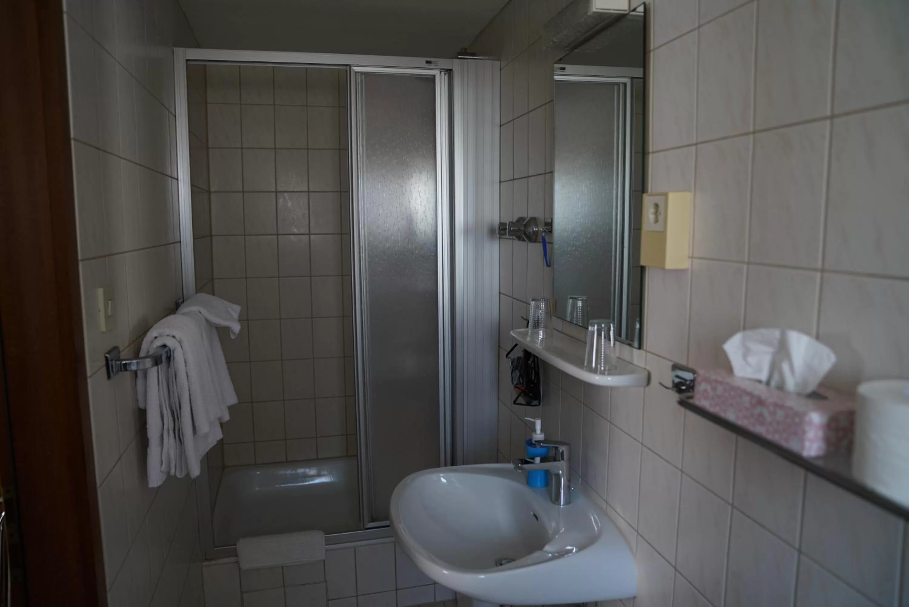 Shower in Hotel zum Grafen Hallermunt