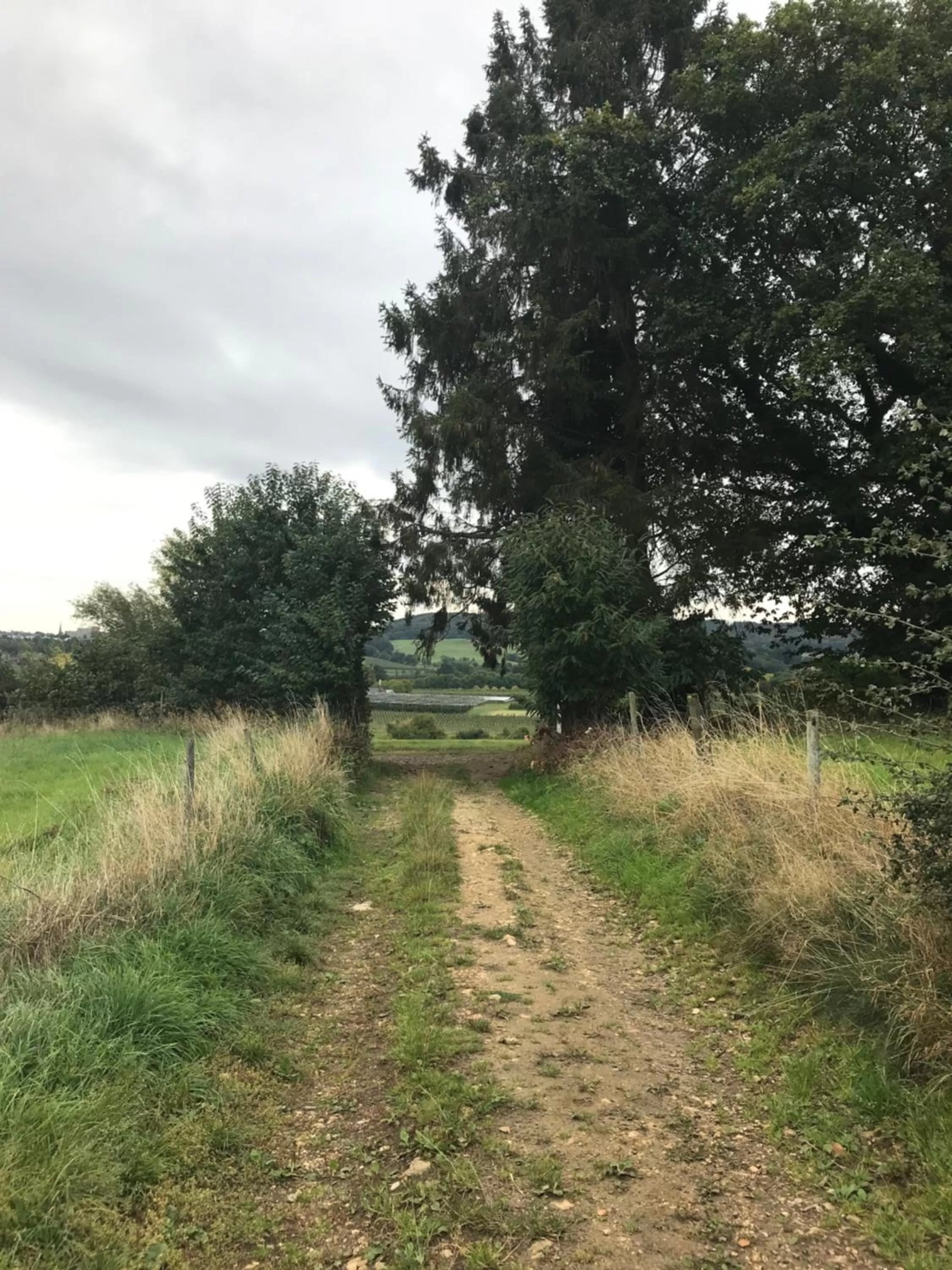 Natural landscape in B&B Holset70