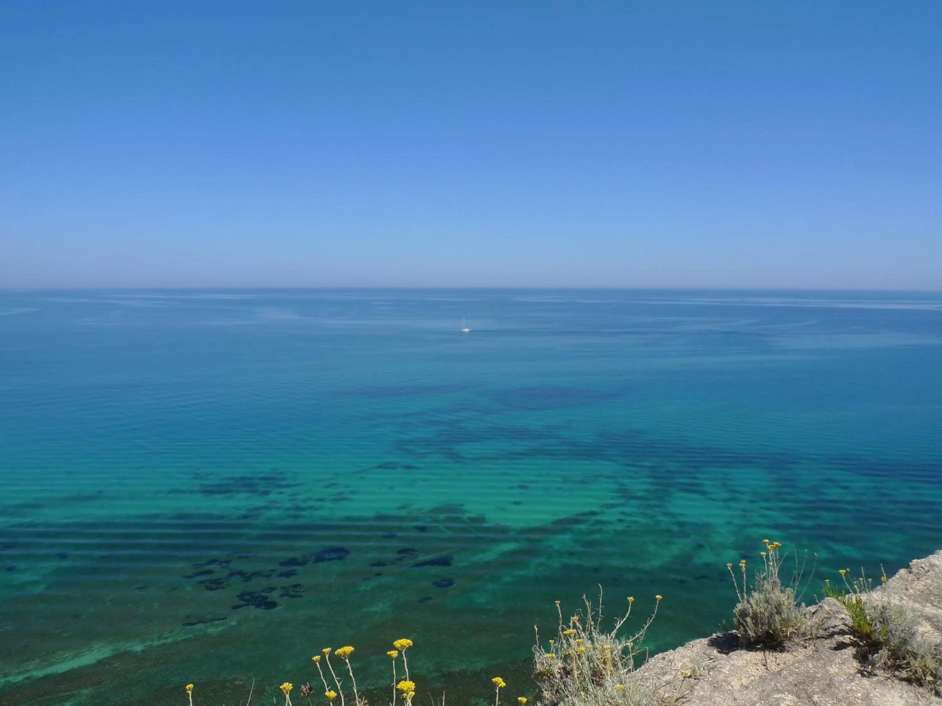 Area and facilities, Bird's-eye View in Hotel Alexander